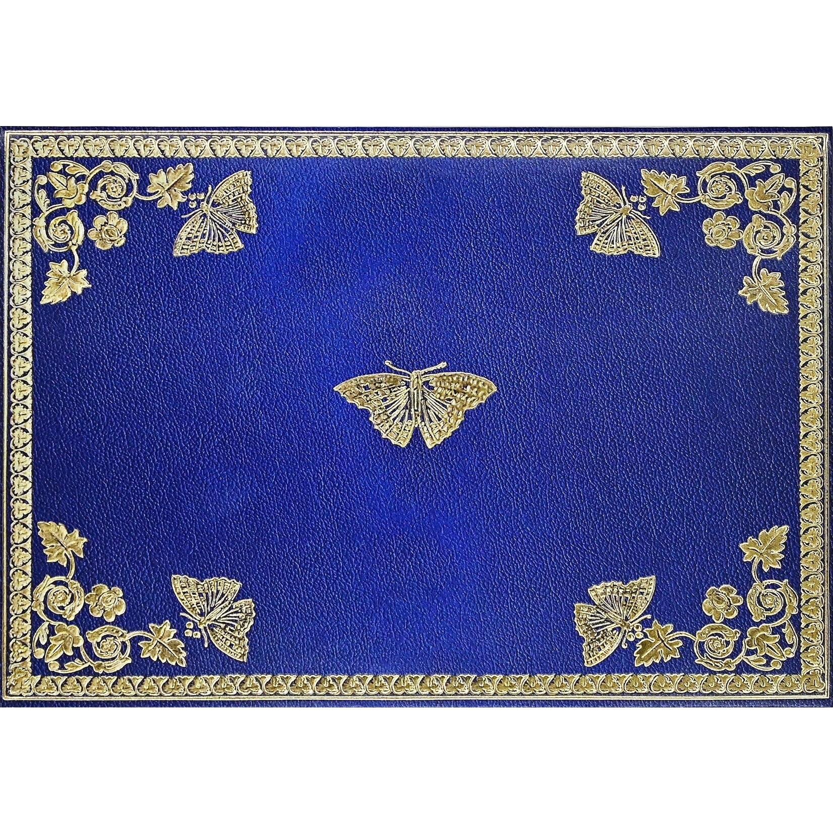 Peter Pauper Press Gilded Butterflies Note Cards