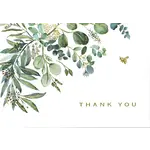 Peter Pauper Press Eucalyptus Thank You Notes