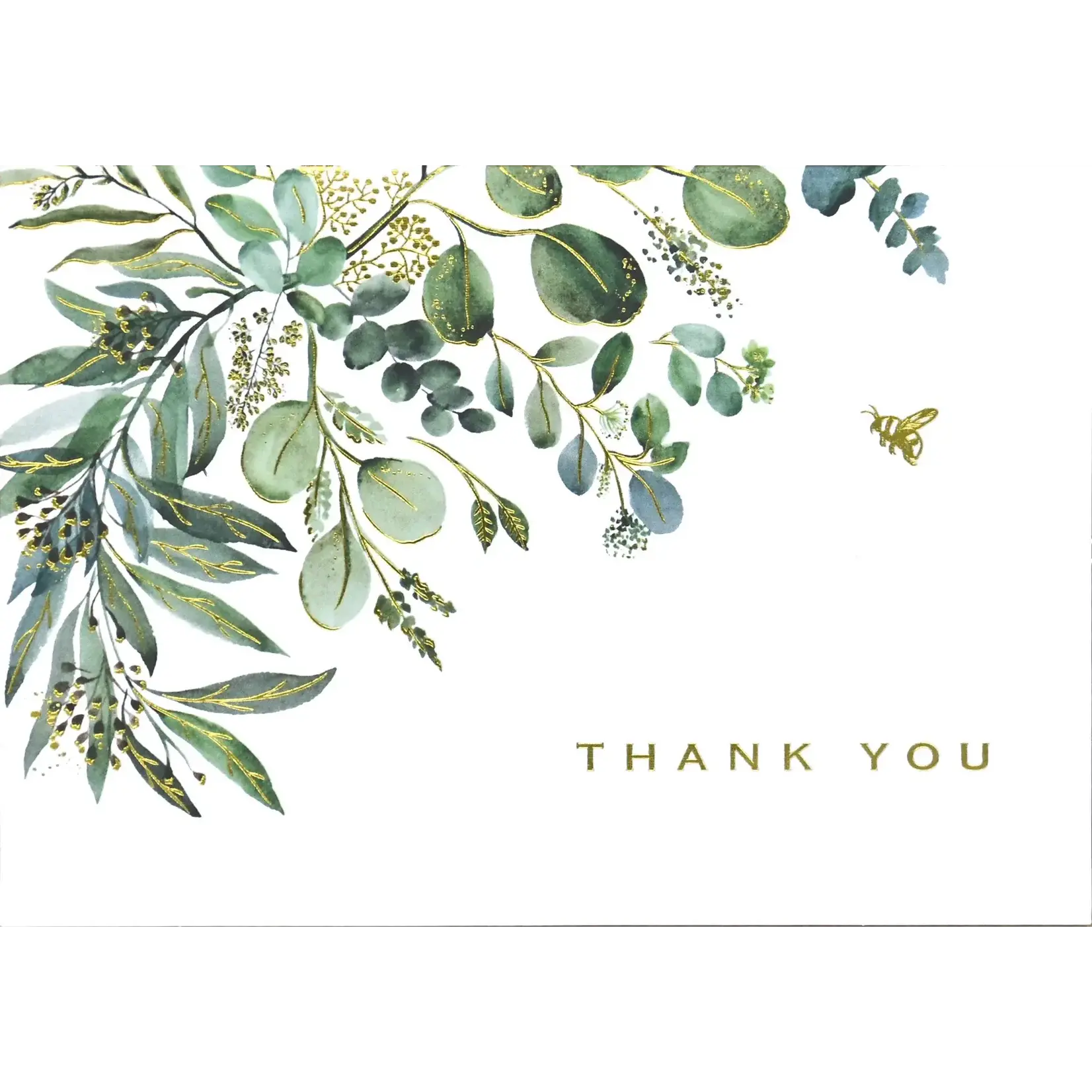 Peter Pauper Press Eucalyptus Thank You Notes