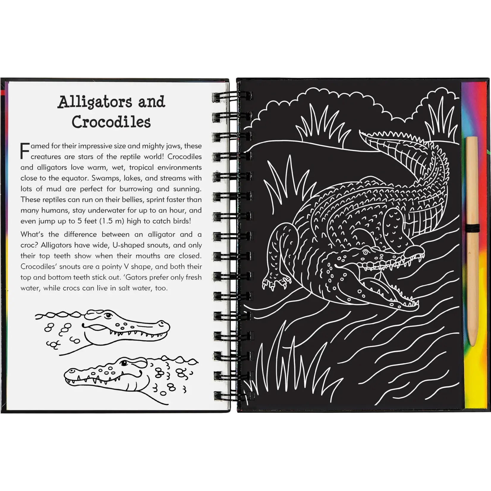 Peter Pauper Press Reptiles & Amphibians Scratch and Sketch