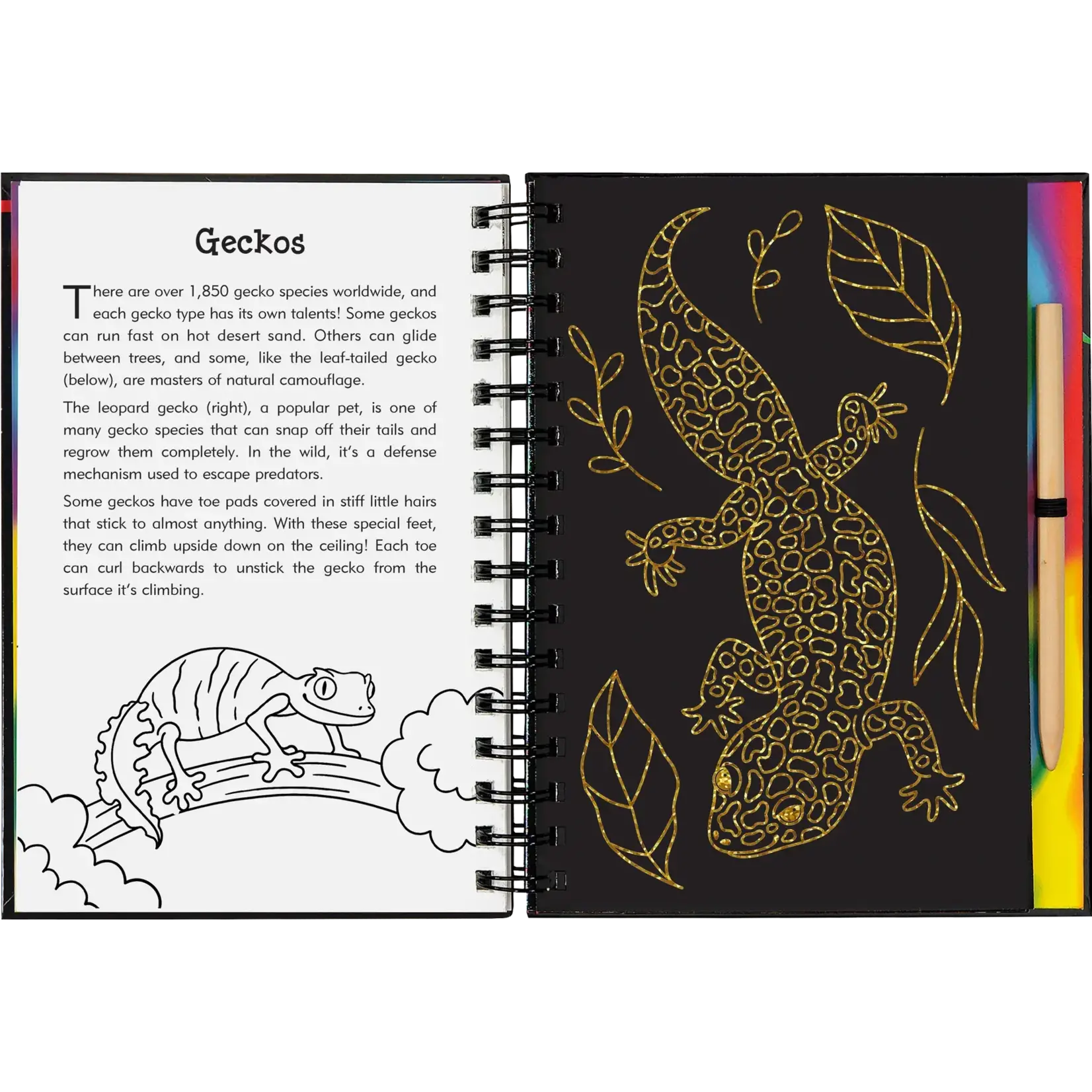 Peter Pauper Press Reptiles & Amphibians Scratch and Sketch