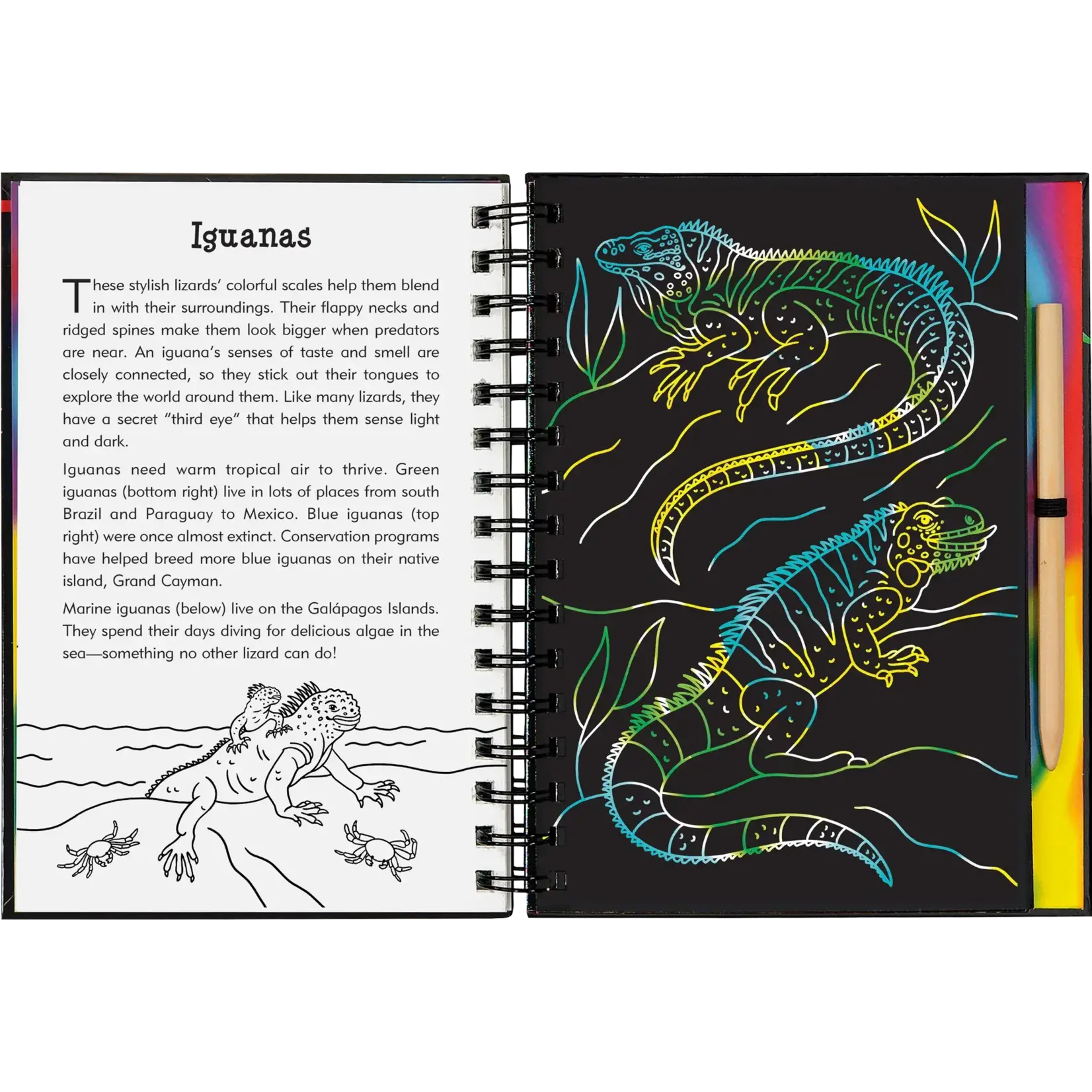 Peter Pauper Press Reptiles & Amphibians Scratch and Sketch