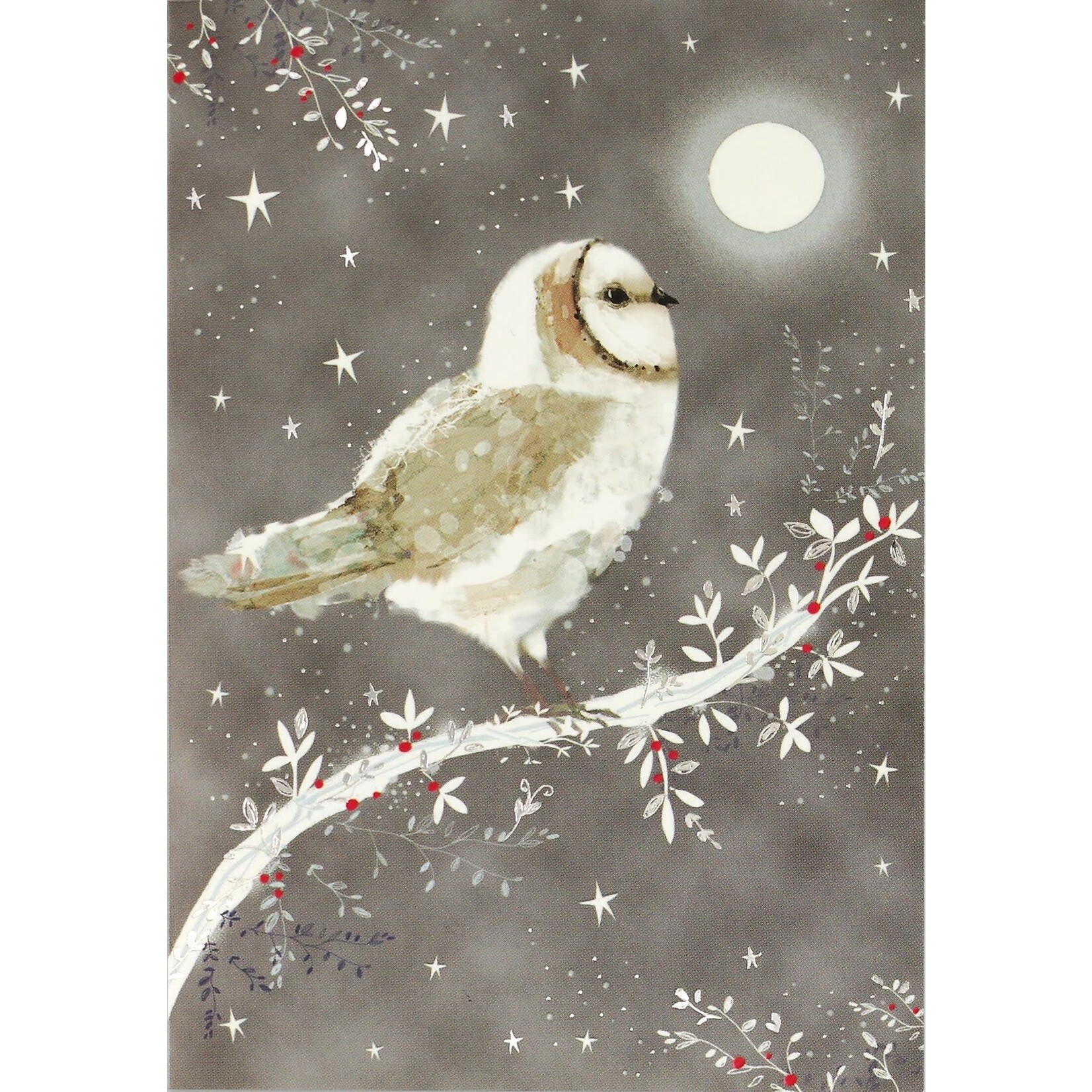 Peter Pauper Press Small Holiday Cards: Starry Night Owl