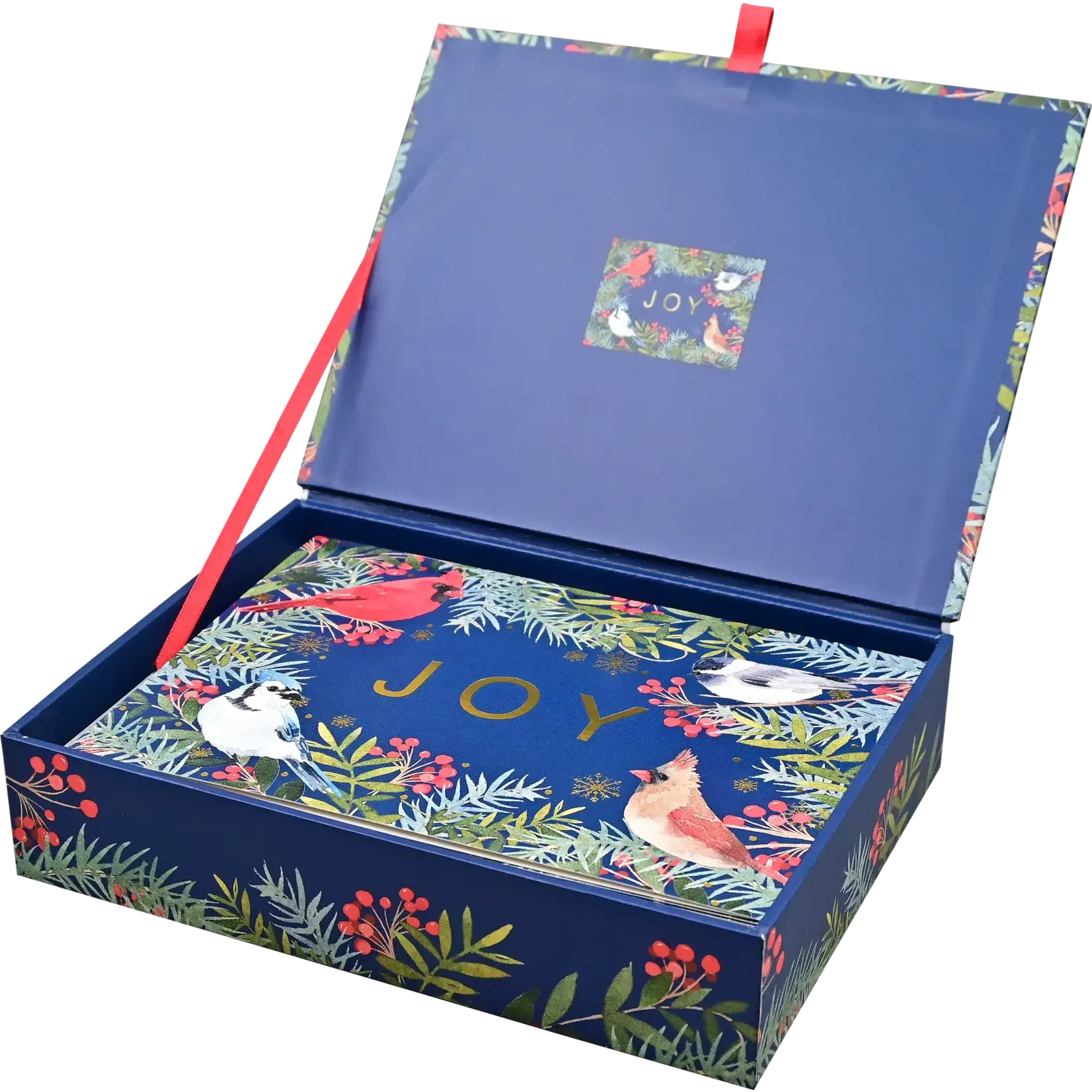 Peter Pauper Press Wings of Joy Deluxe Boxed Holiday Cards