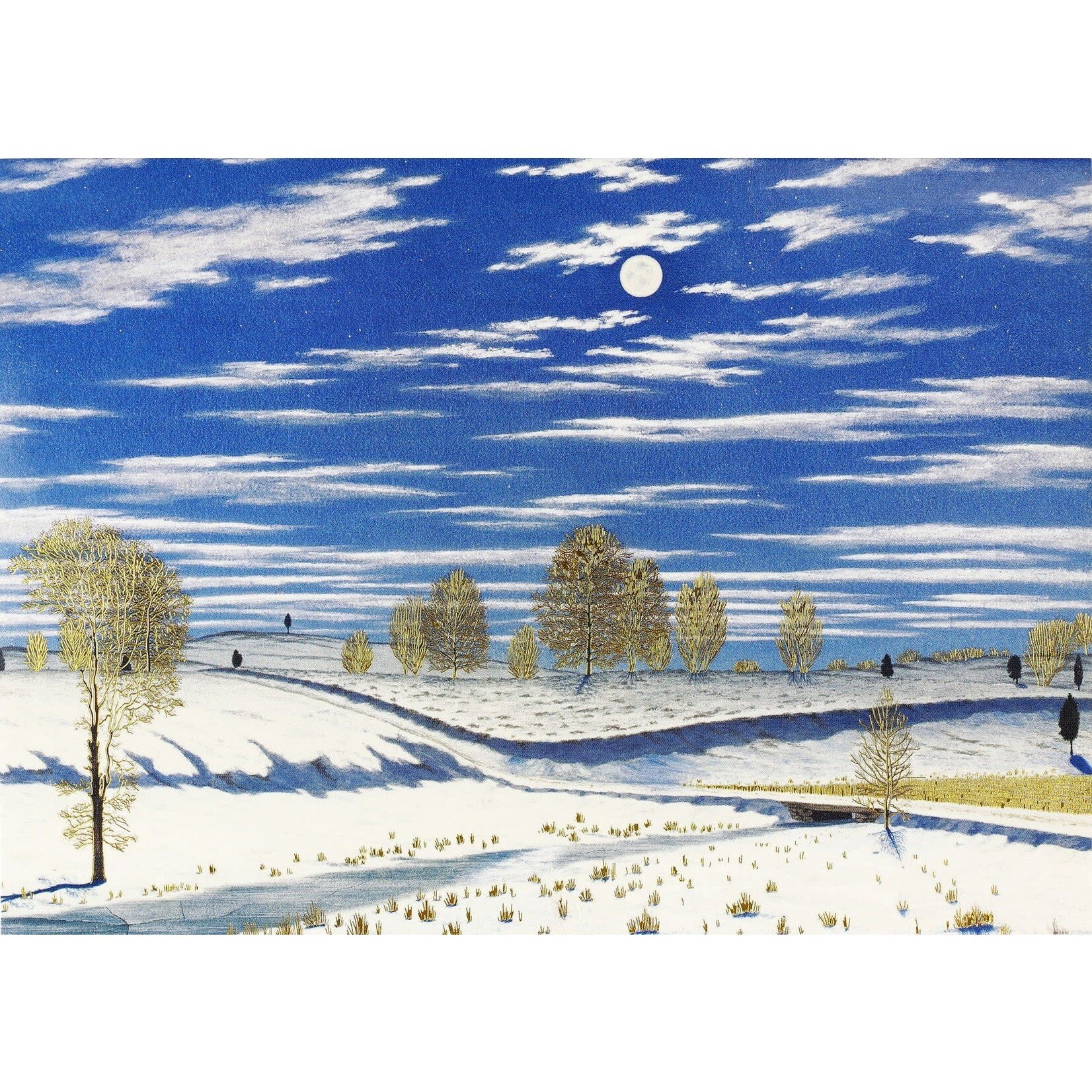 Peter Pauper Press Winter Scene in Moonlight Deluxe Boxed Holiday Cards