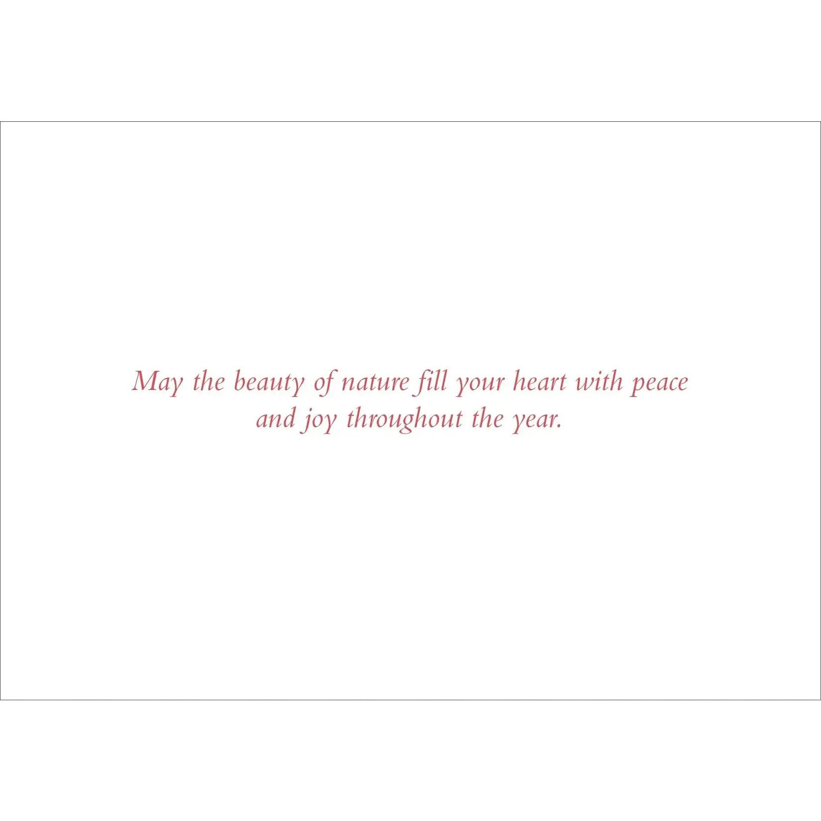 Peter Pauper Press Woodland Evening Deluxe Boxed Holiday Cards