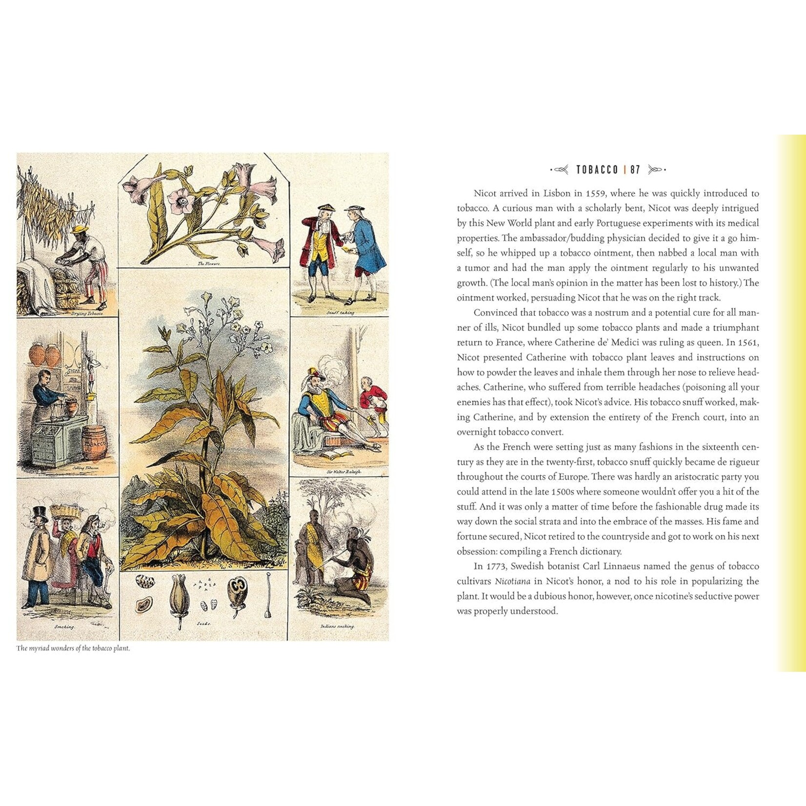 Quackery: A Brief History of the Worst Ways to Cure Everything