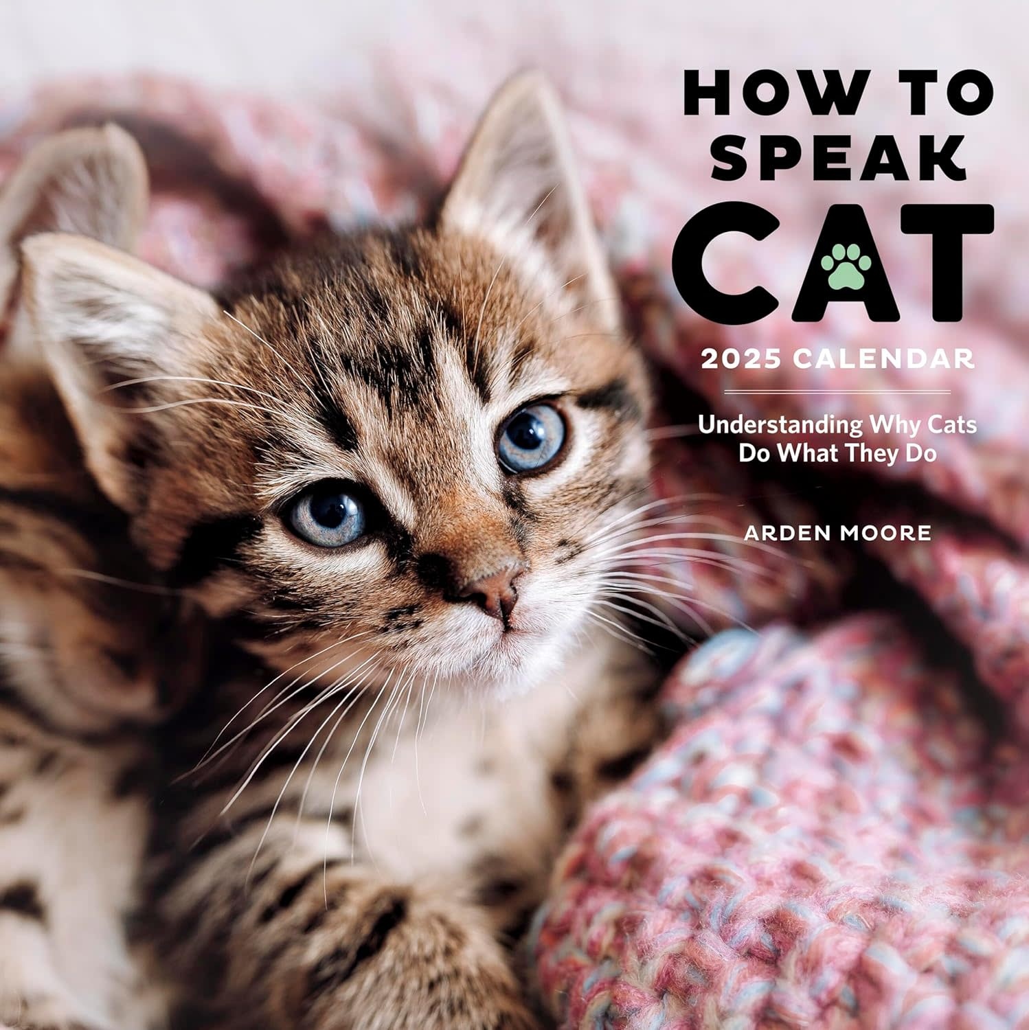 How to Speak Cat Wall Calendar 2025 Maxima Gift and Book Center