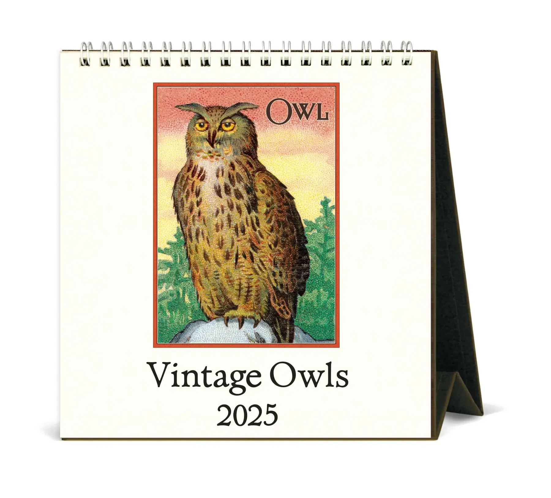 Owls Desk 2025 Easel Desk Calendar Maxima Gift and Book Center