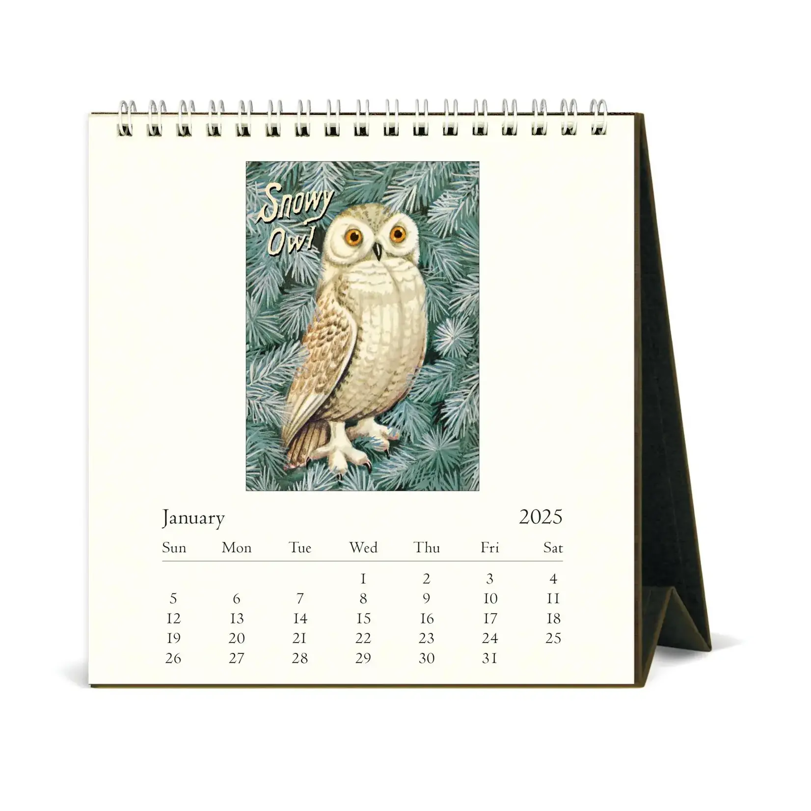 Owls Desk 2025 Easel Desk Calendar Maxima Gift and Book Center