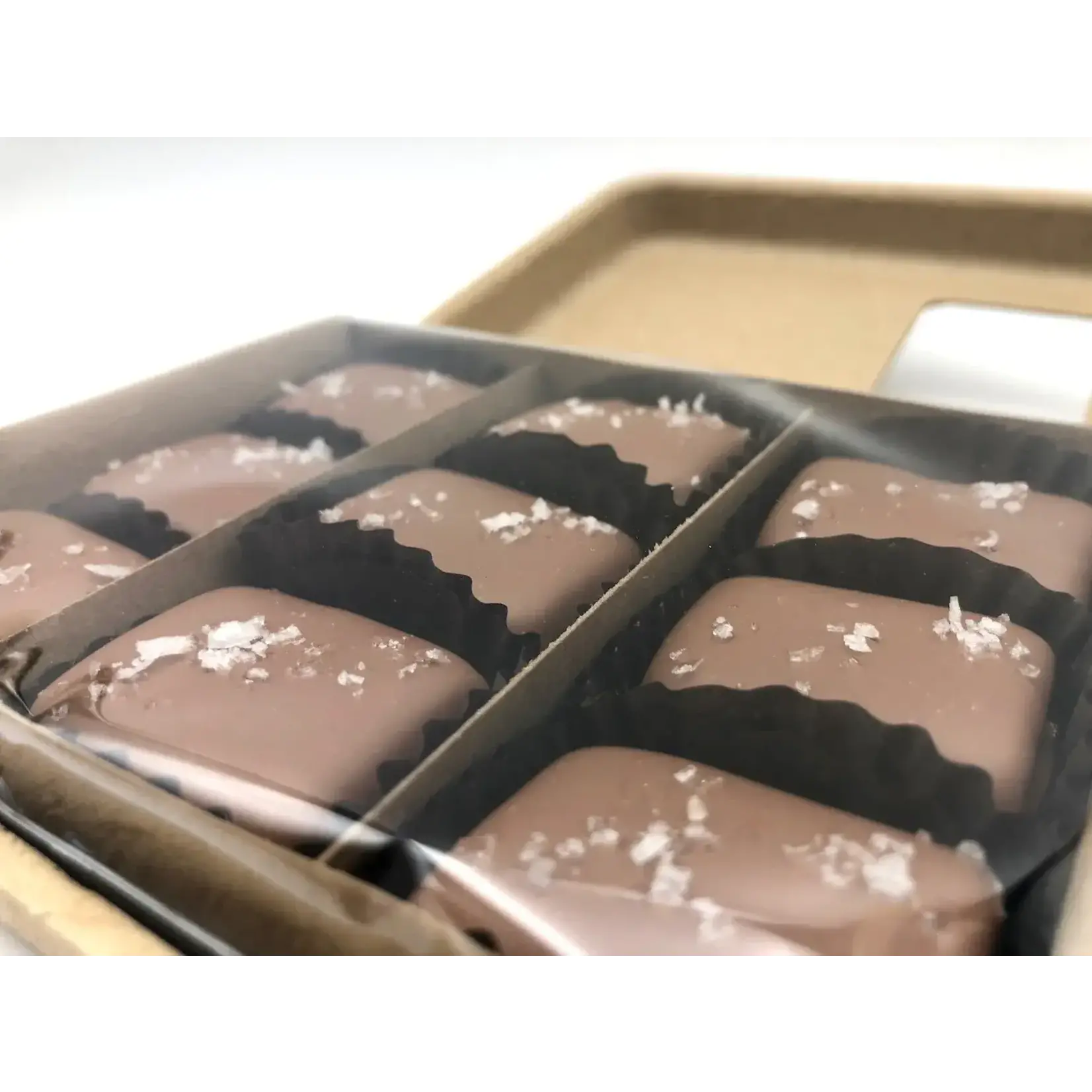 9 Piece Milk Chocolate Covered Salted Caramels