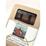 9 Piece Milk Chocolate Covered Salted Caramels