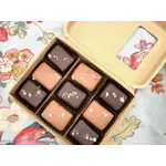 9 Piece Milk & Dark Chocolate Covered Salted Caramels, Mixed