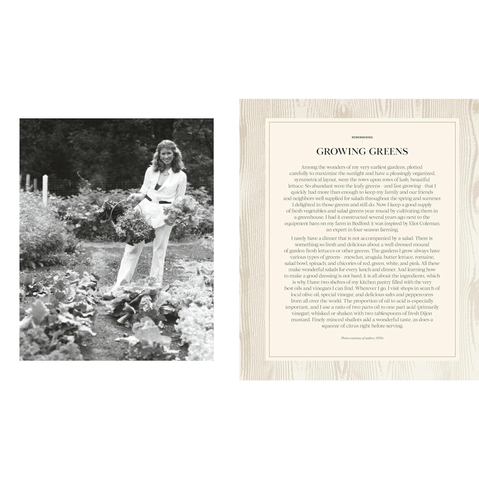 Martha: The Cookbook: 100 Favorite Recipes, with Lessons and Stories from My Kitchen