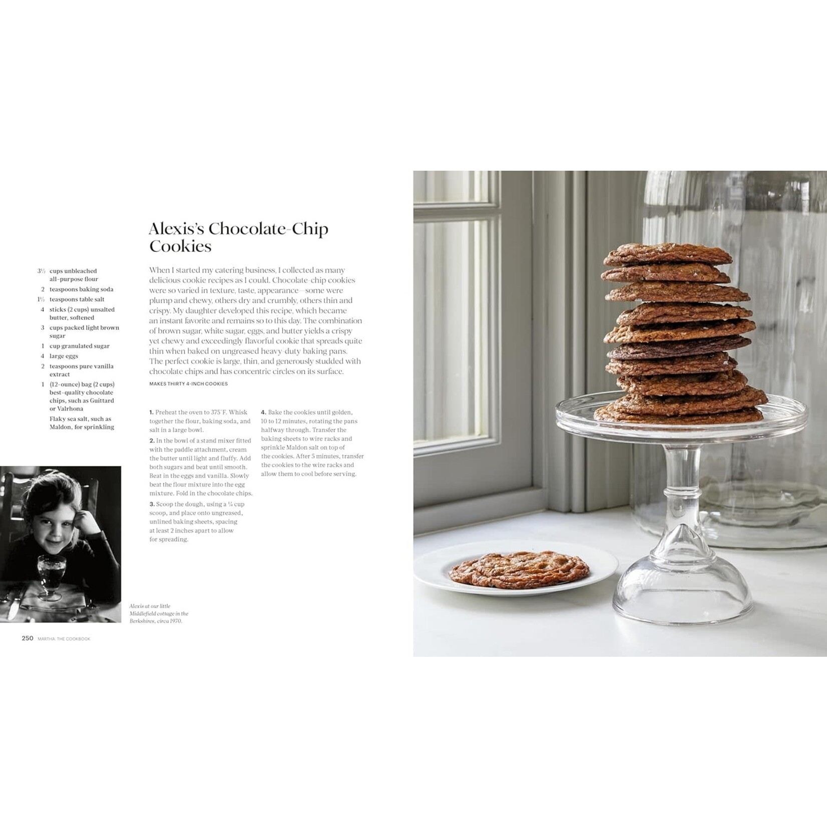 Martha: The Cookbook: 100 Favorite Recipes, with Lessons and Stories from My Kitchen