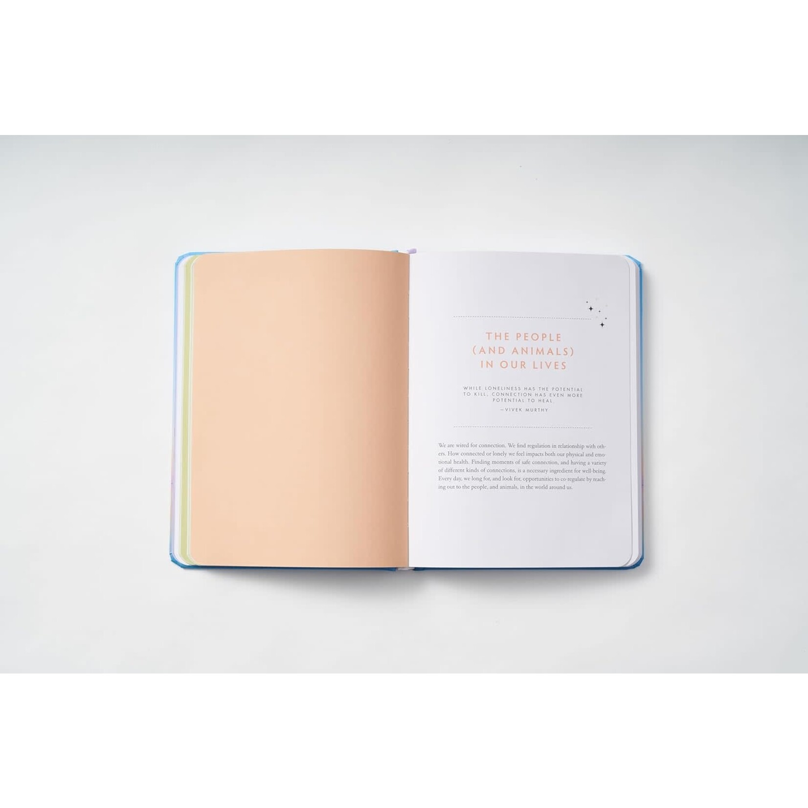 Glimmers Journal: Reflect on the Small Moments That Bring You Joy, Safety, and Connection