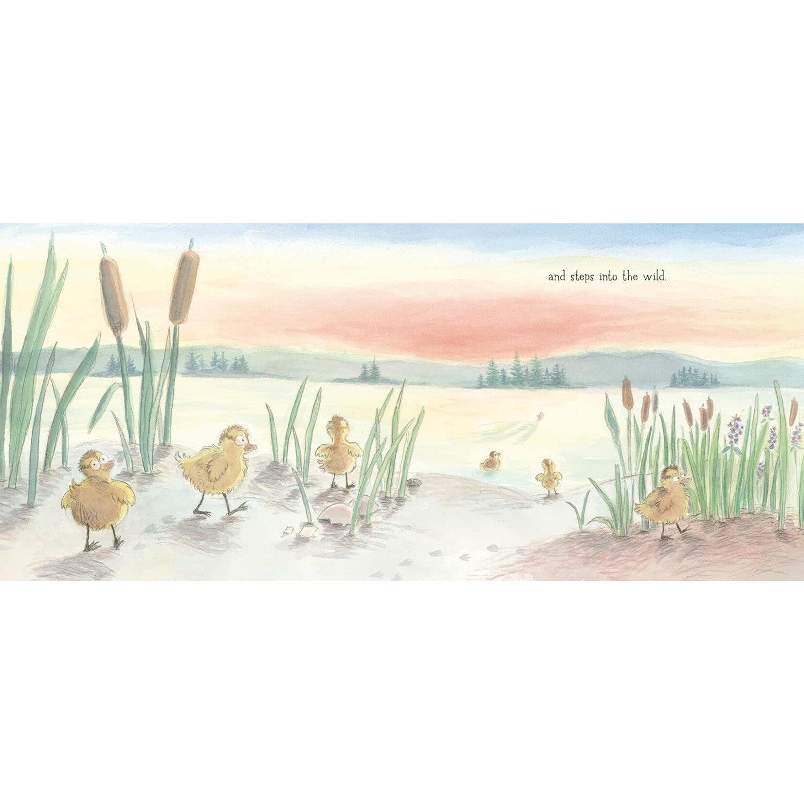 Seven Little Ducklings