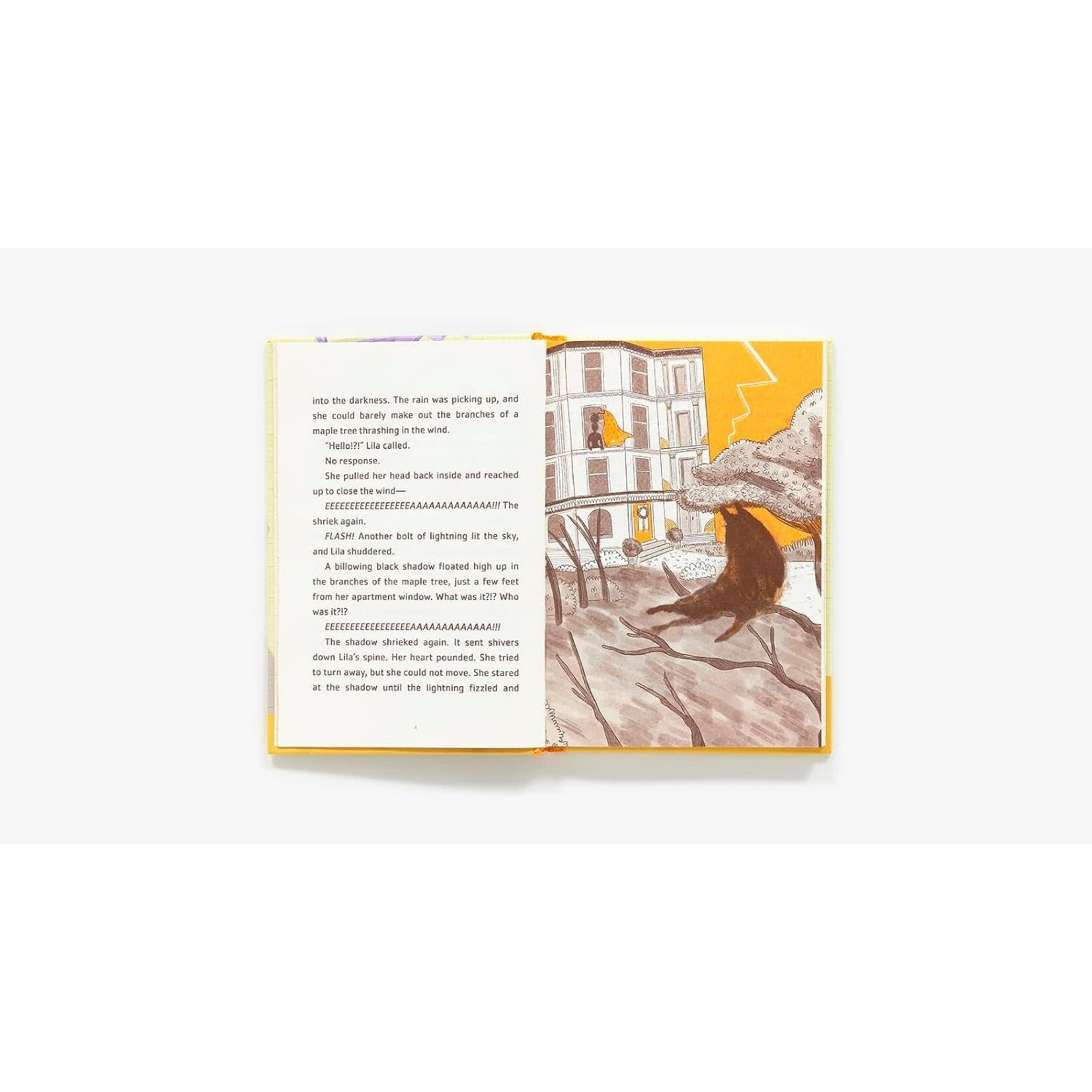 Lila Greer and the Shrieking Shadow: The Questioneers Book #7