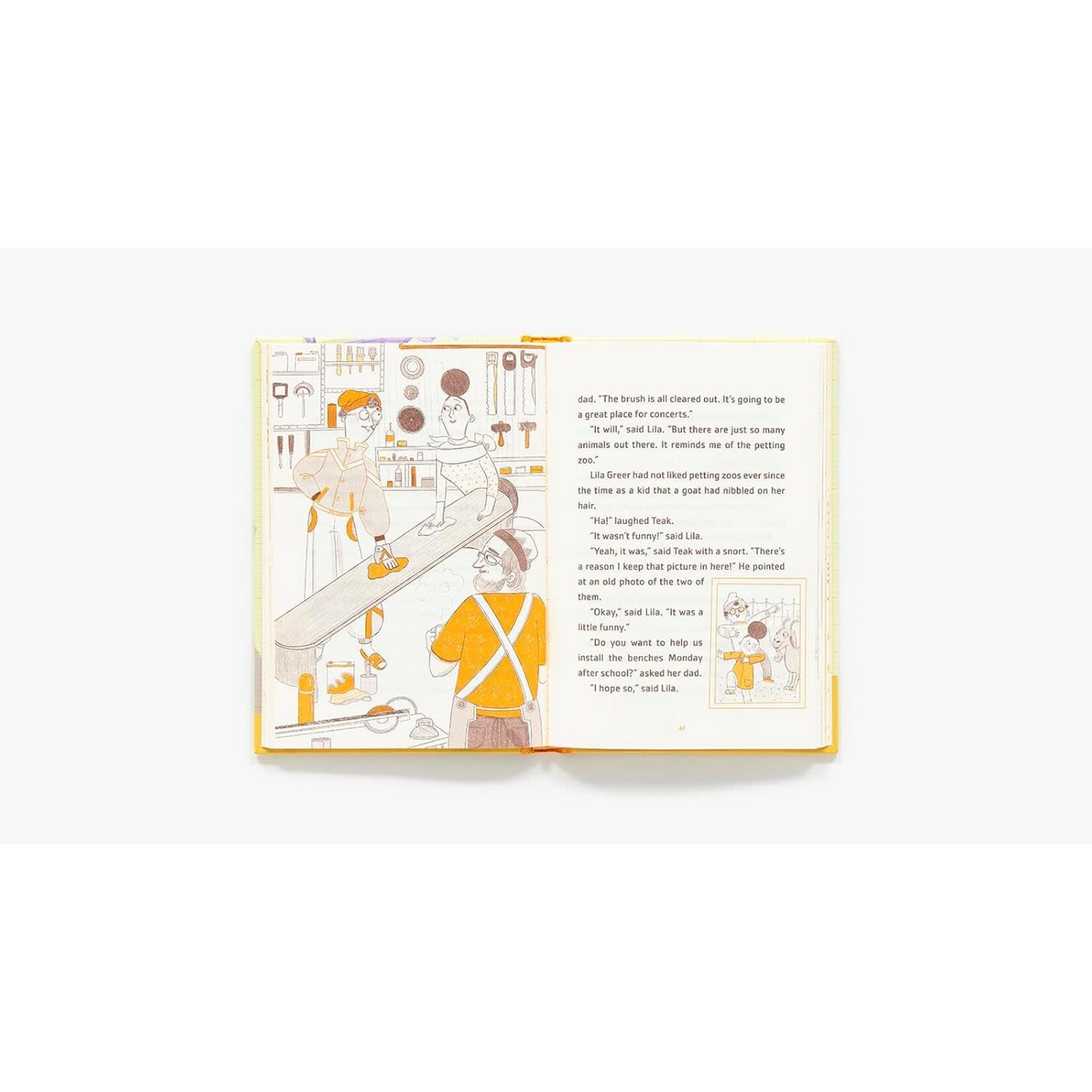 Lila Greer and the Shrieking Shadow: The Questioneers Book #7