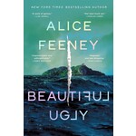 Beautiful Ugly: A Novel