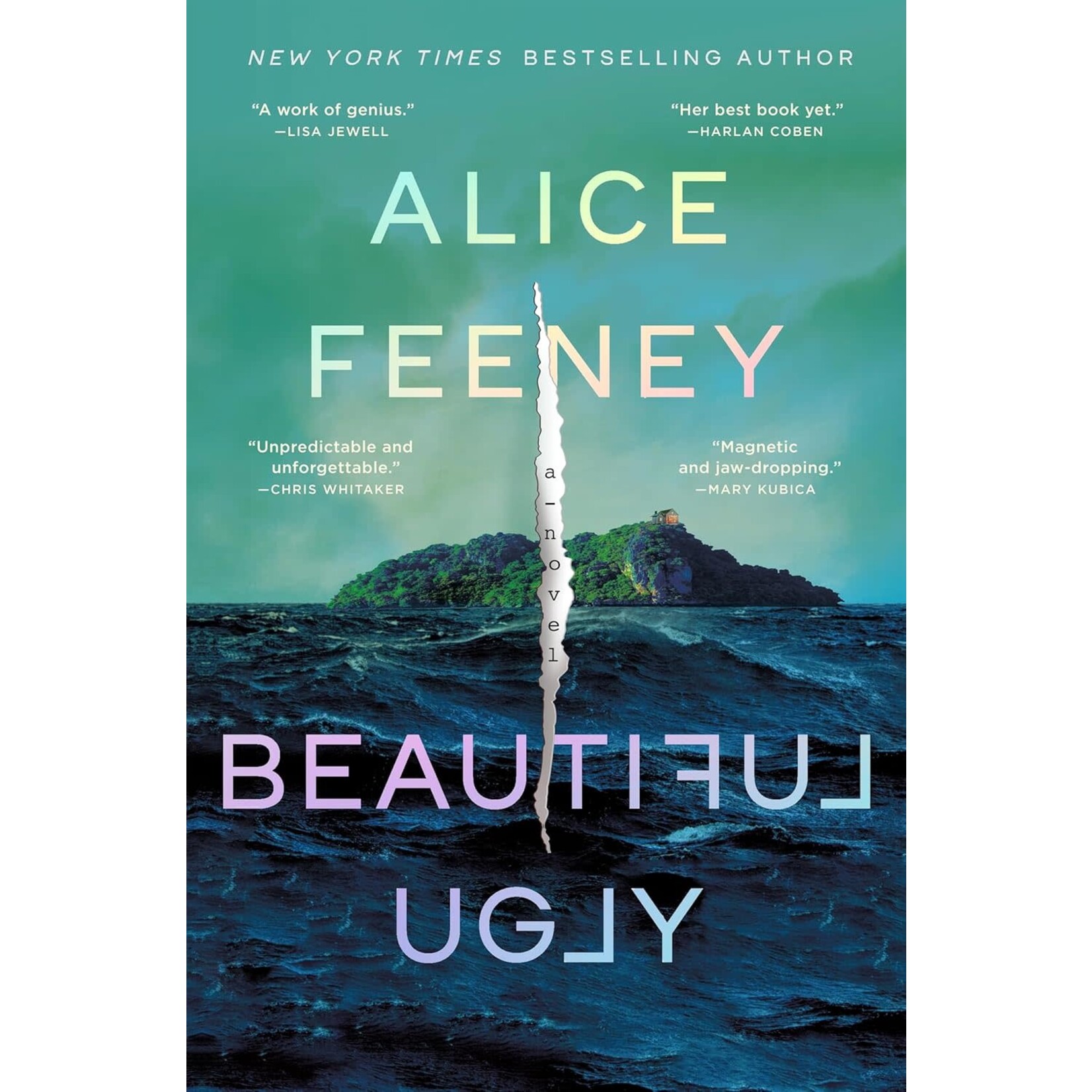 Beautiful Ugly: A Novel
