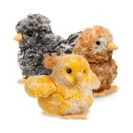 Douglas Toys Multi Color Chicks