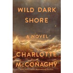 Wild Dark Shore: A Novel