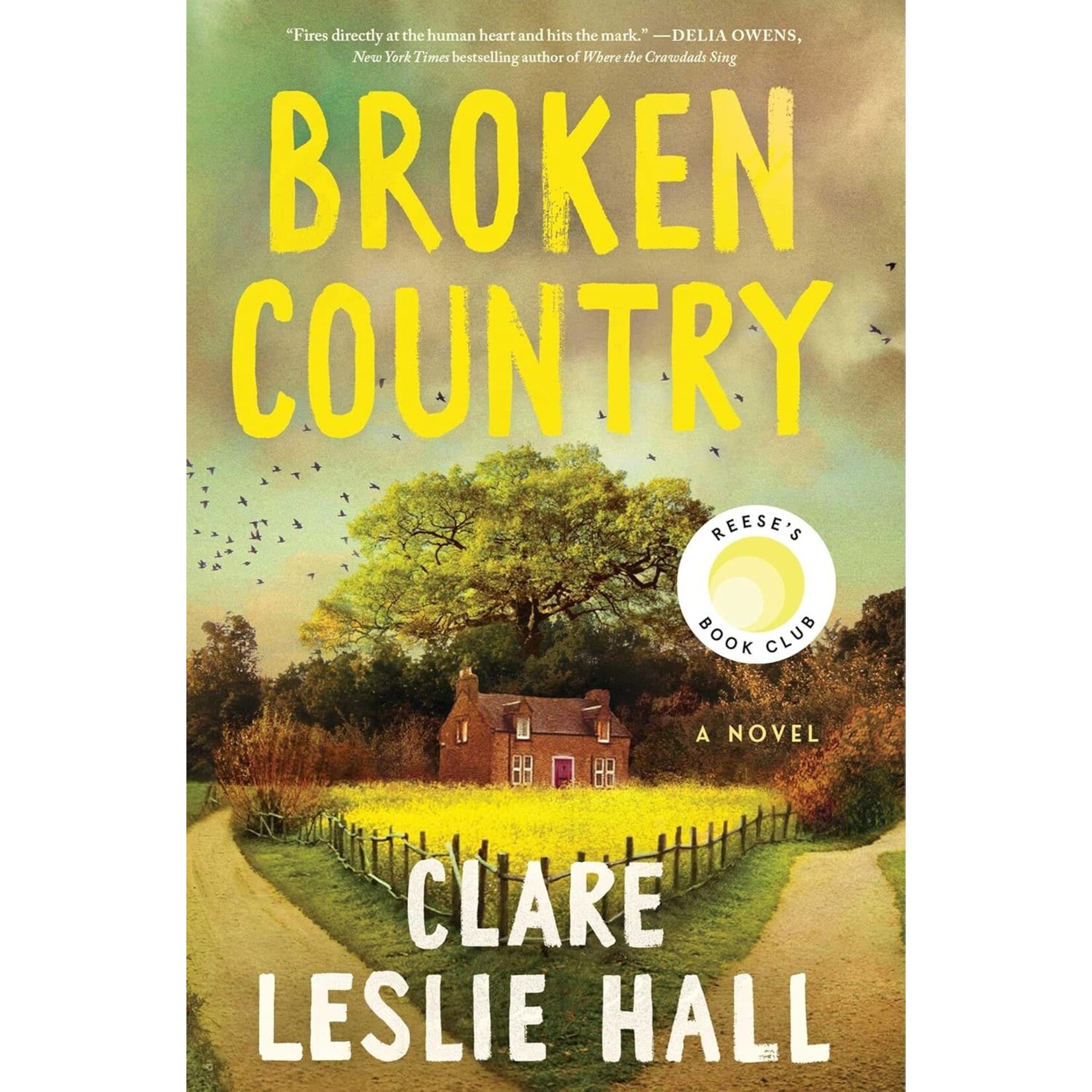 Broken Country: A Novel