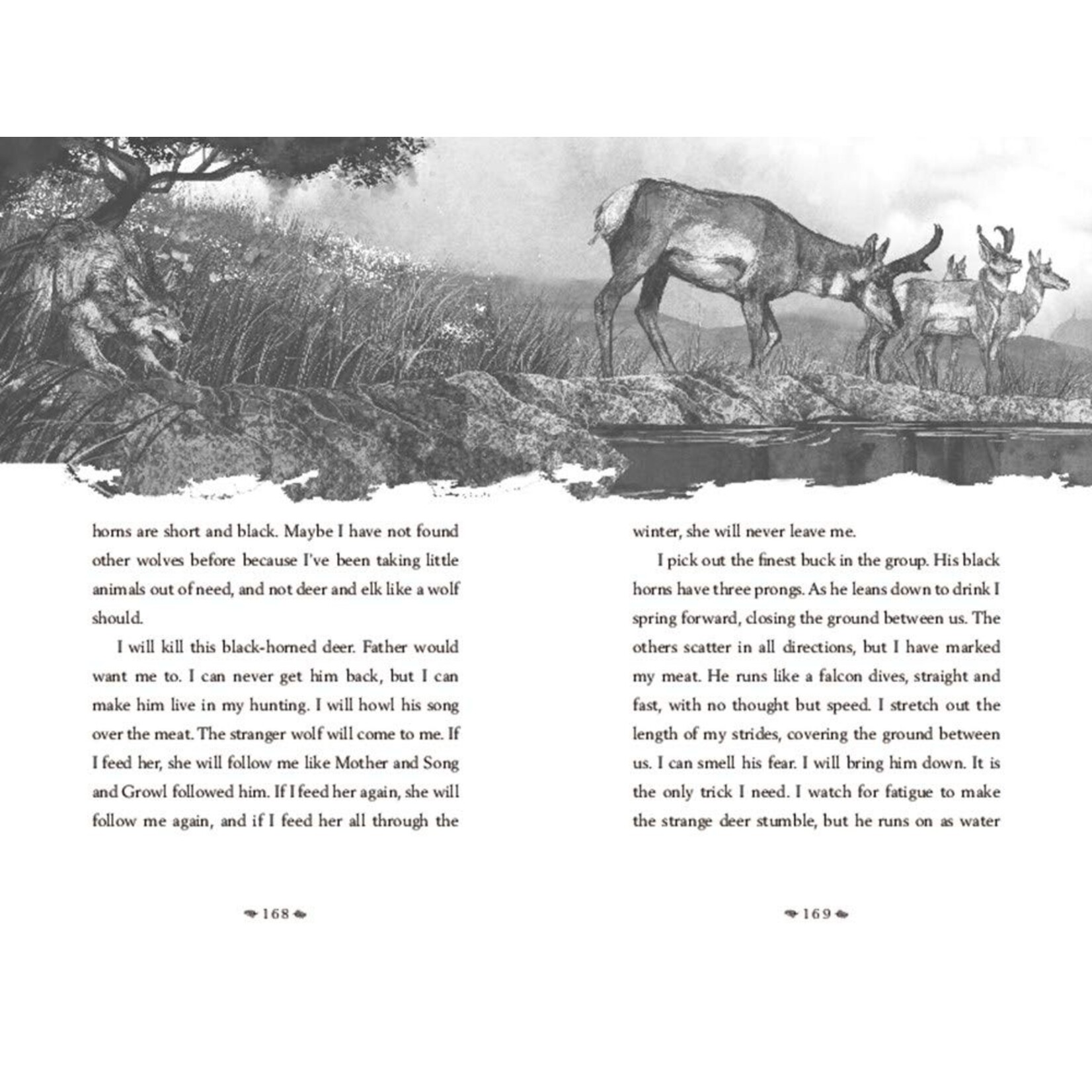 A Wolf Called Wander (Voice of the Wilderness #1)