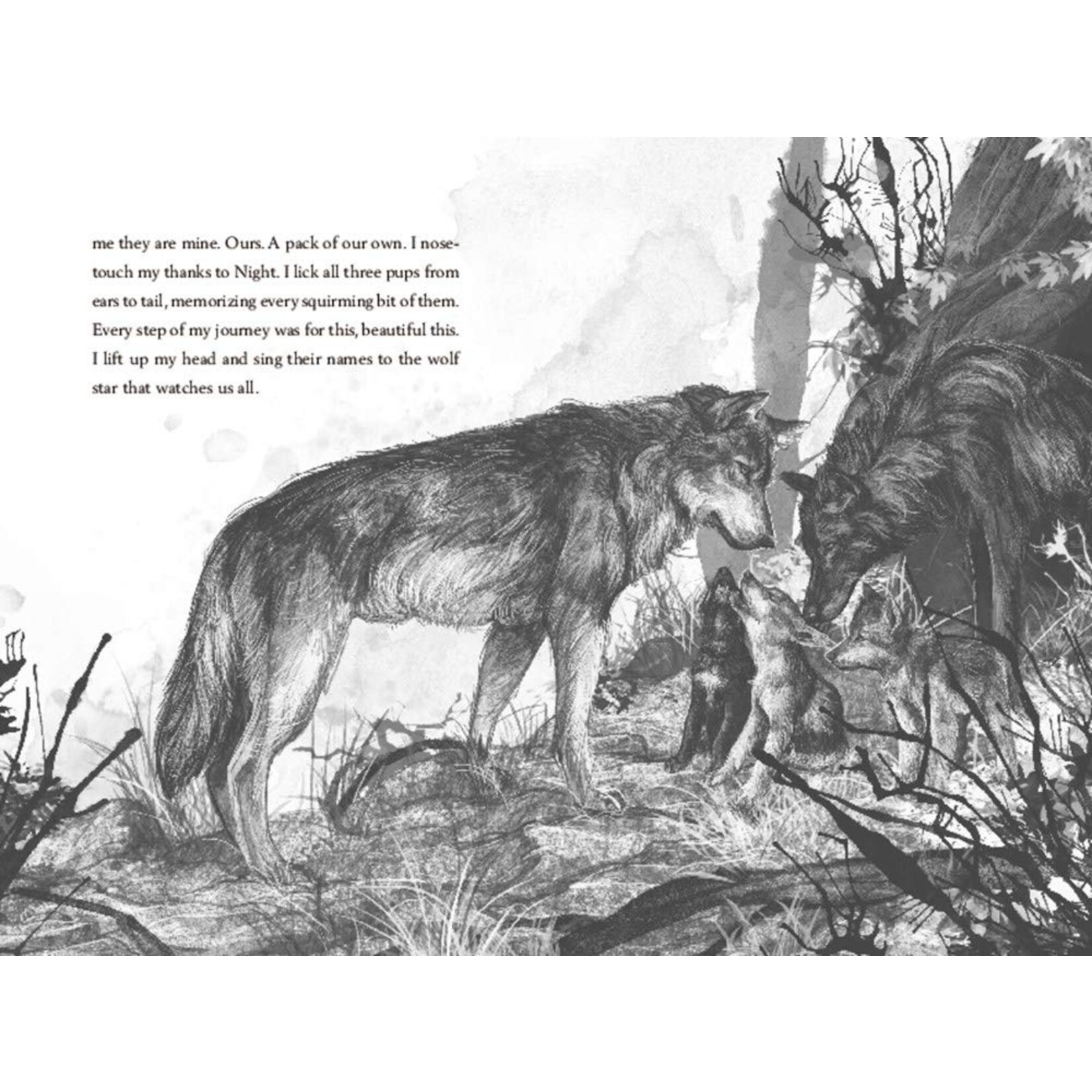 A Wolf Called Wander (Voice of the Wilderness #1)