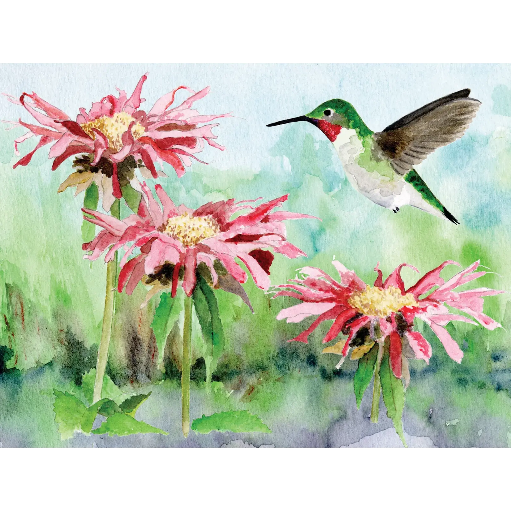 Ruby-throated Hummingbird - 1000 Piece Puzzle