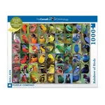Rainbow of Birds - 1000 Piece Puzzle