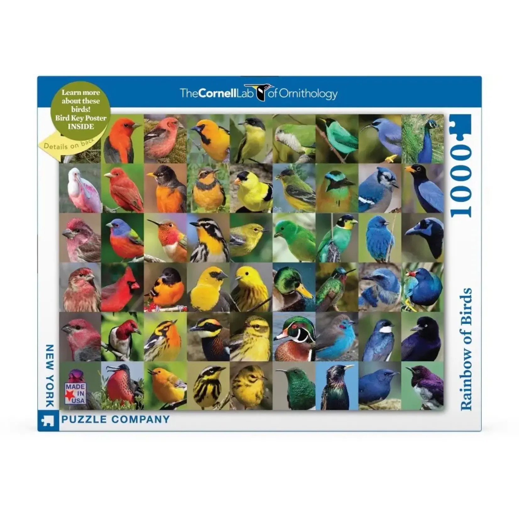 Rainbow of Birds - 1000 Piece Puzzle