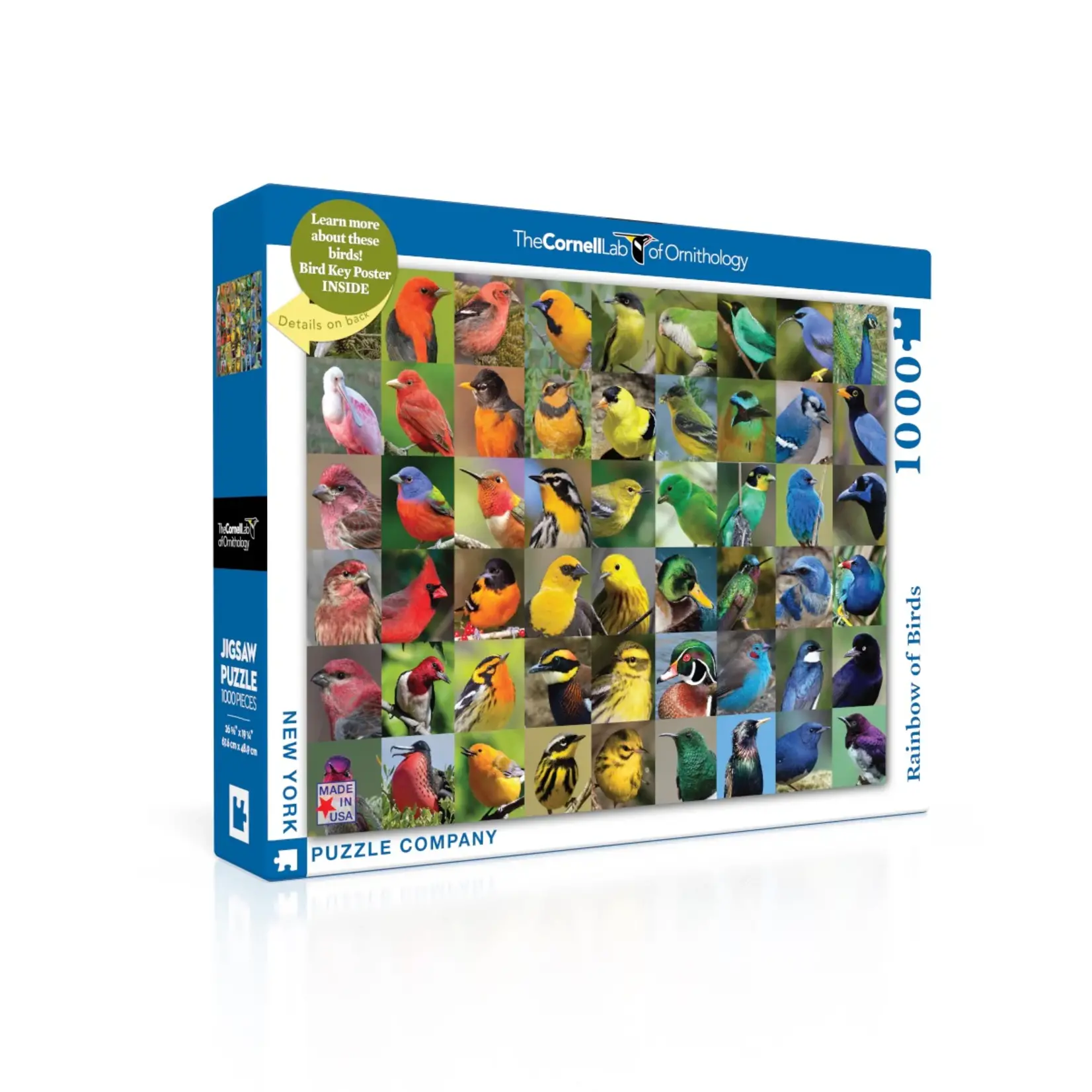 Rainbow of Birds - 1000 Piece Puzzle