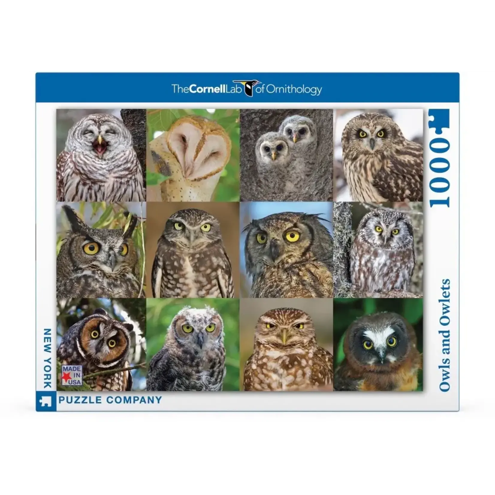 Owls and Owlets - 1000 Piece Puzzle