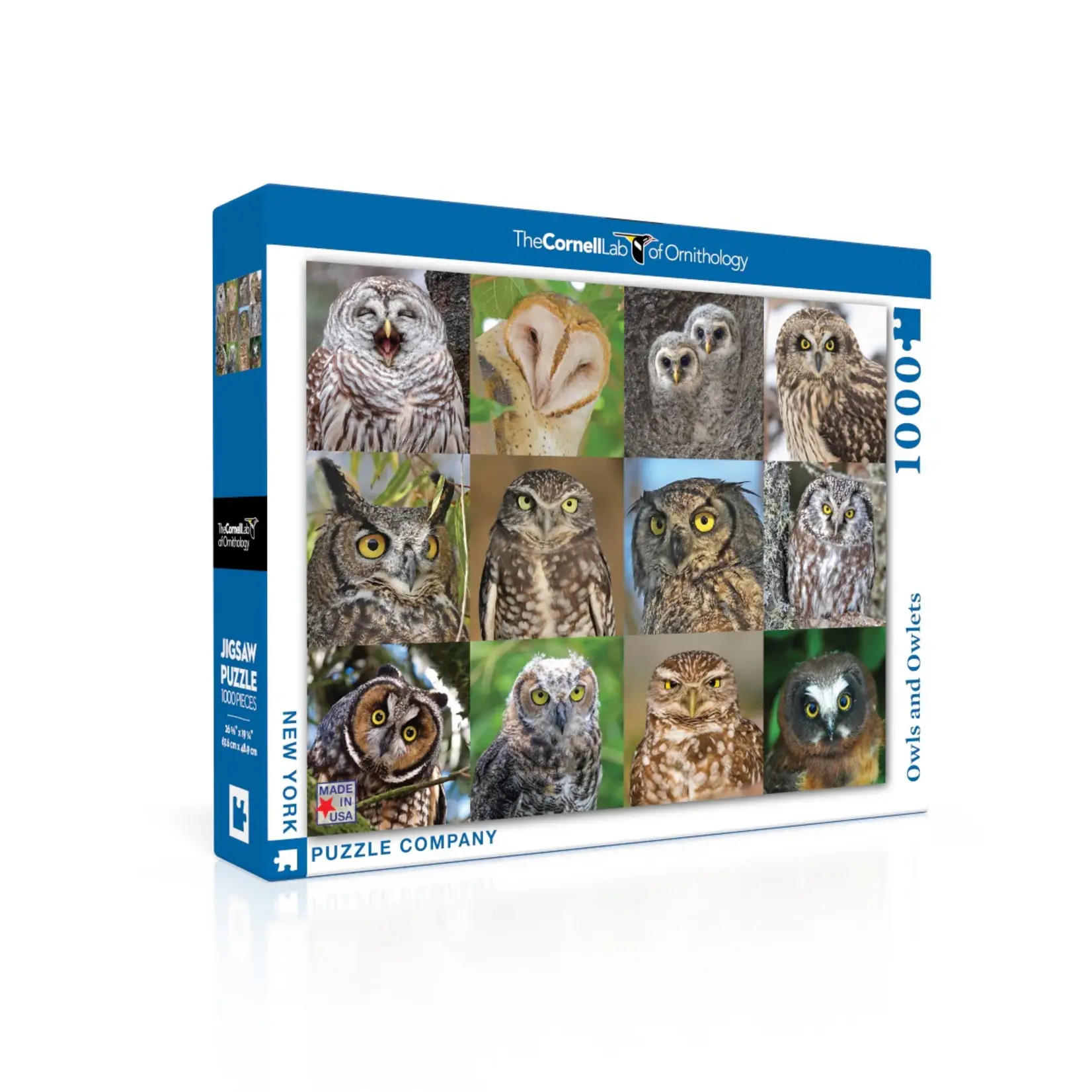 Owls and Owlets - 1000 Piece Puzzle