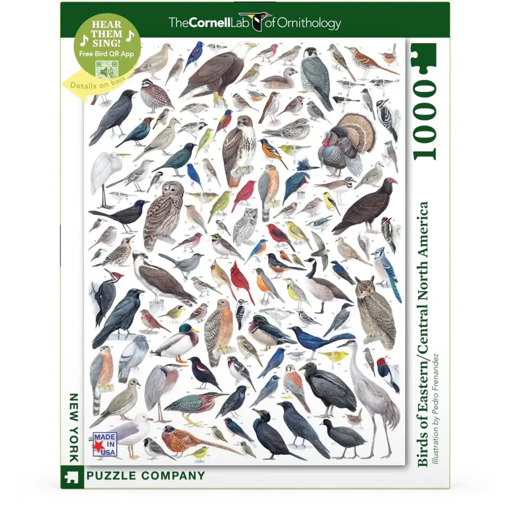 Birds of Eastern/Central North America - 1000 Piece Puzzle
