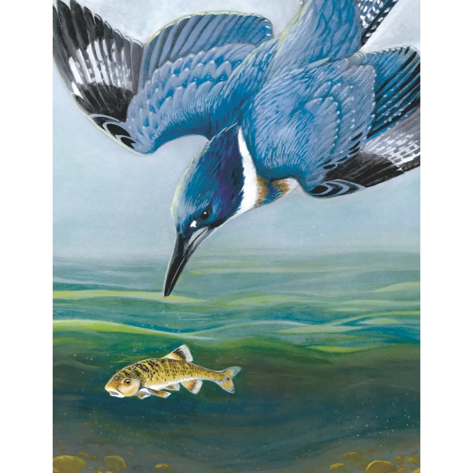 Cornell Lab | Belted Kingfisher - Mini 100 Piece Puzzle