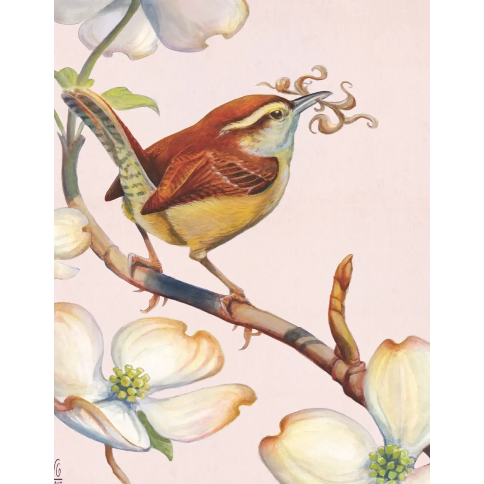 Carolina Wren - Mini 100 Piece Puzzle