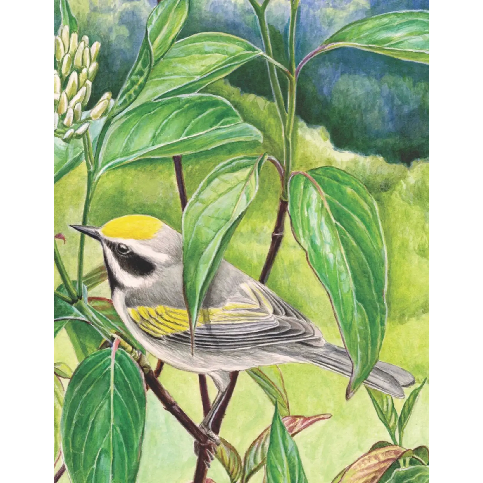 Cornell Lab | Golden-winged Warbler - Mini 100 Piece Puzzle