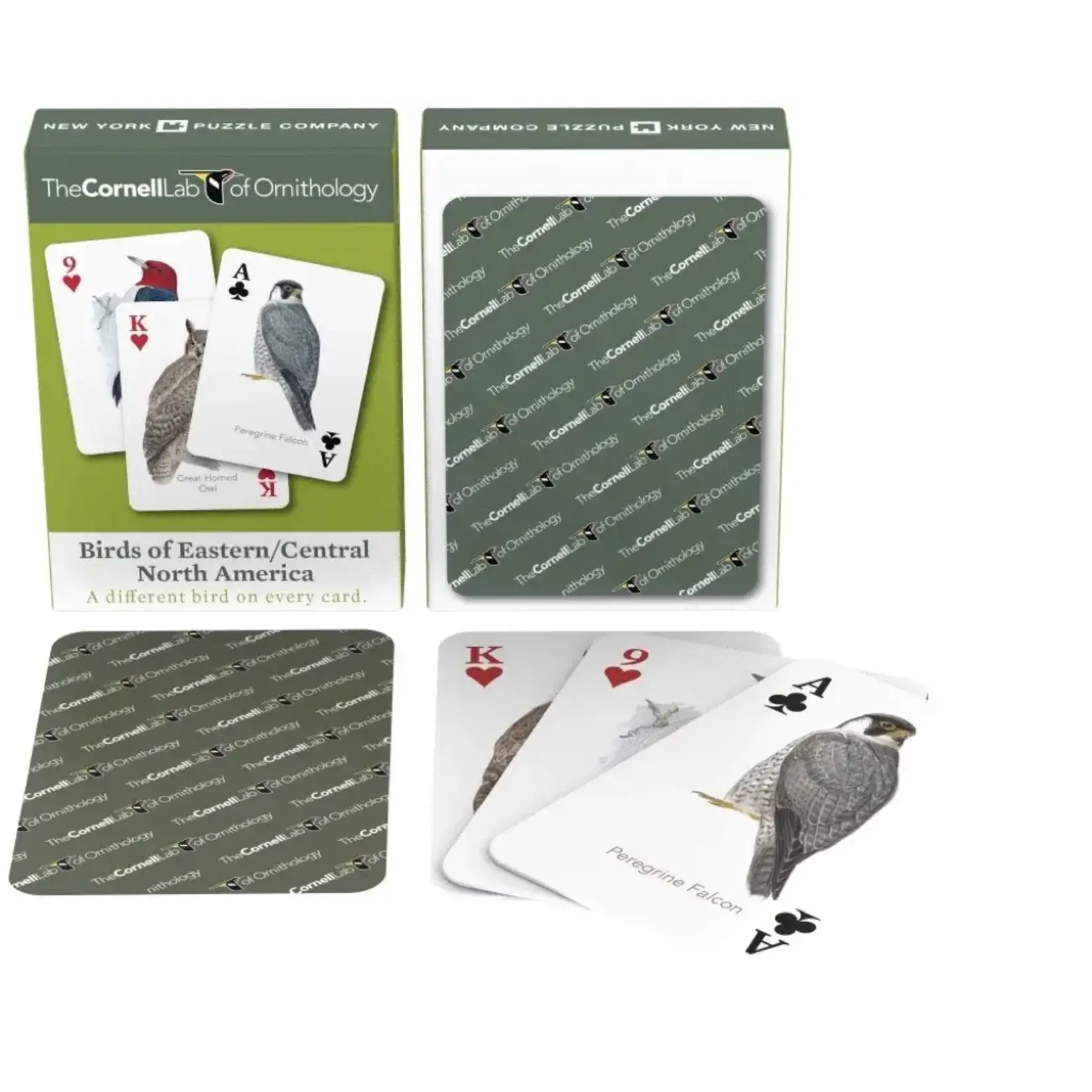 Birds of Eastern/Central North America Playing Cards
