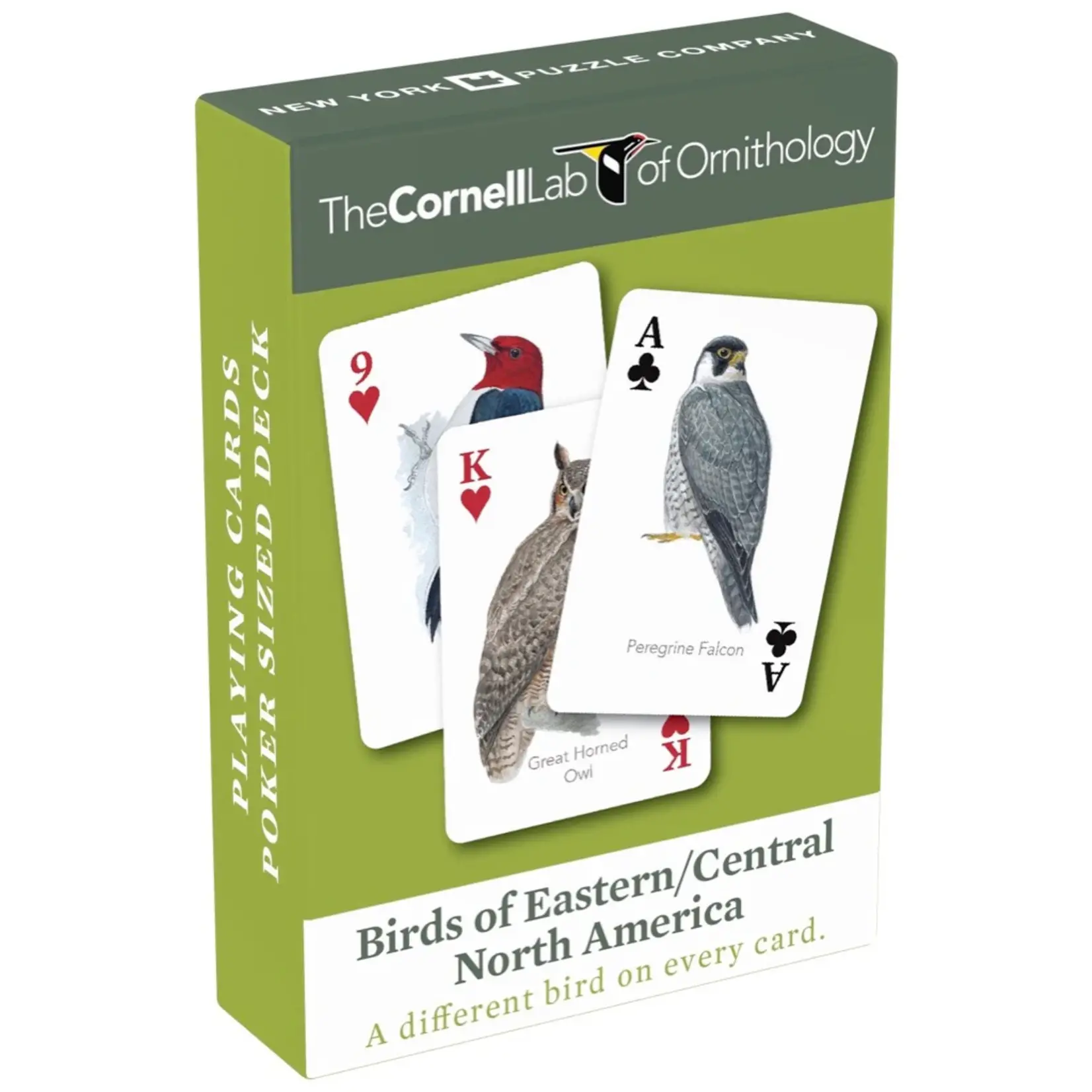 Birds of Eastern/Central North America Playing Cards