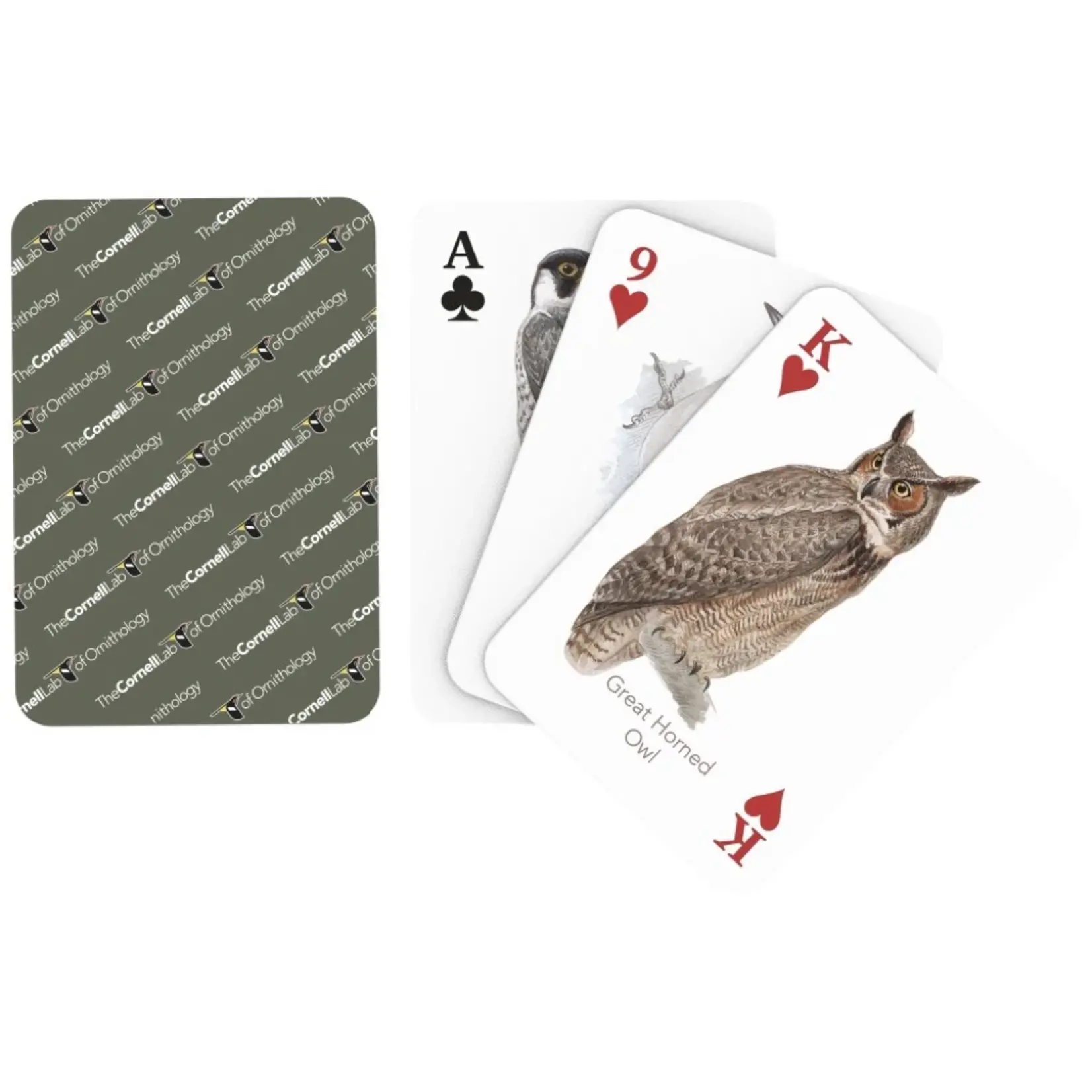 Birds of Eastern/Central North America Playing Cards