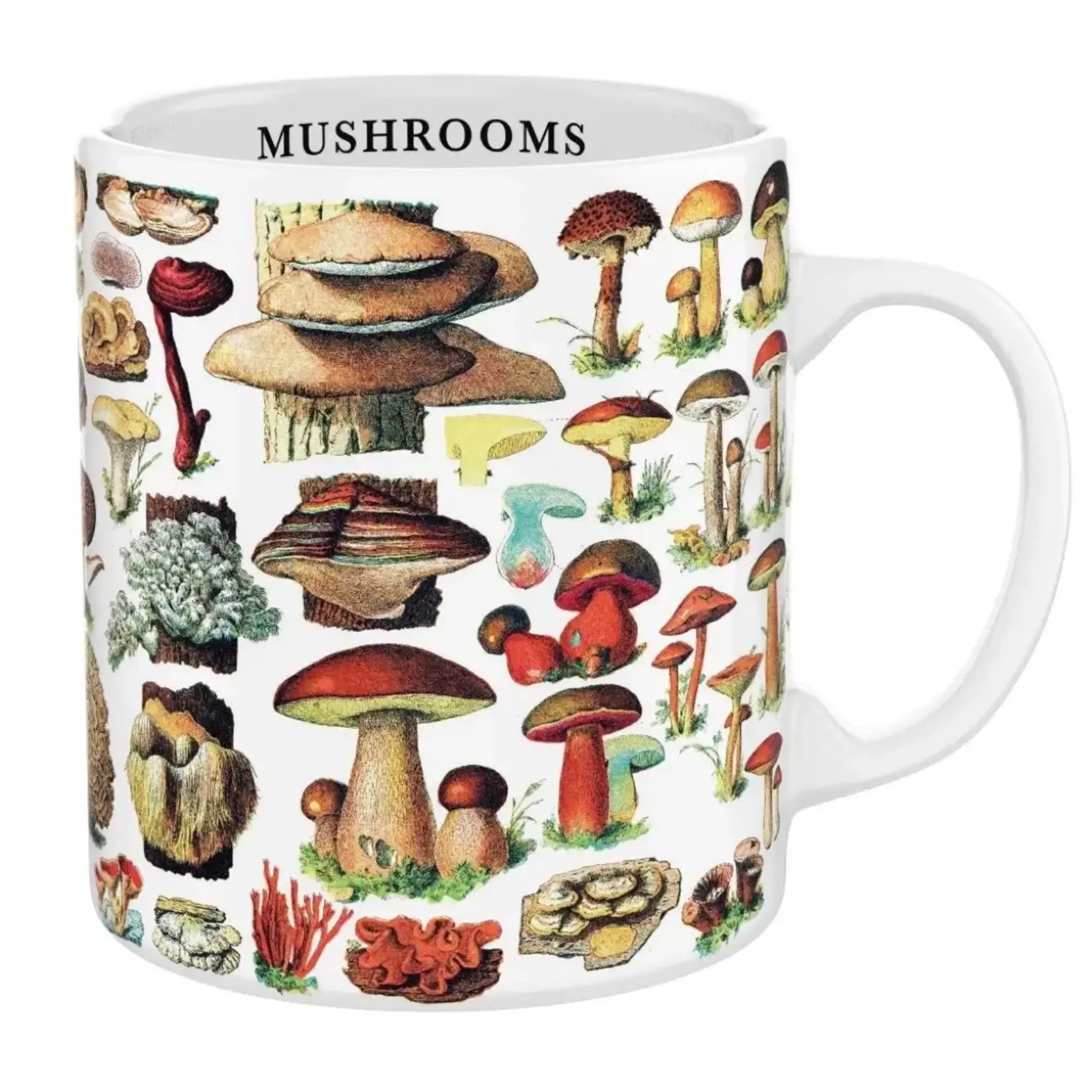 Mushrooms Mug 15oz