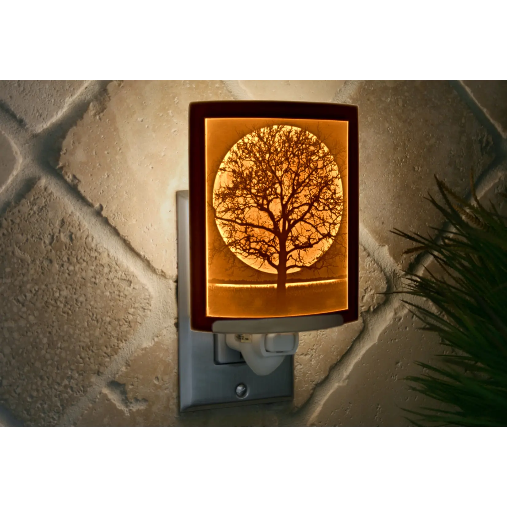 Midnight Moon Curved Night Light