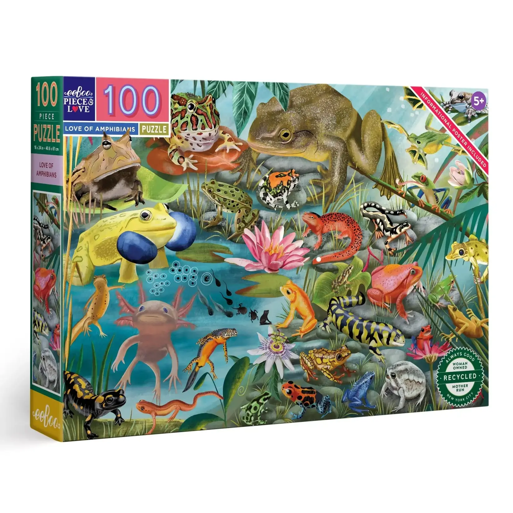 eeboo Love of Amphibians 100 Piece Puzzle
