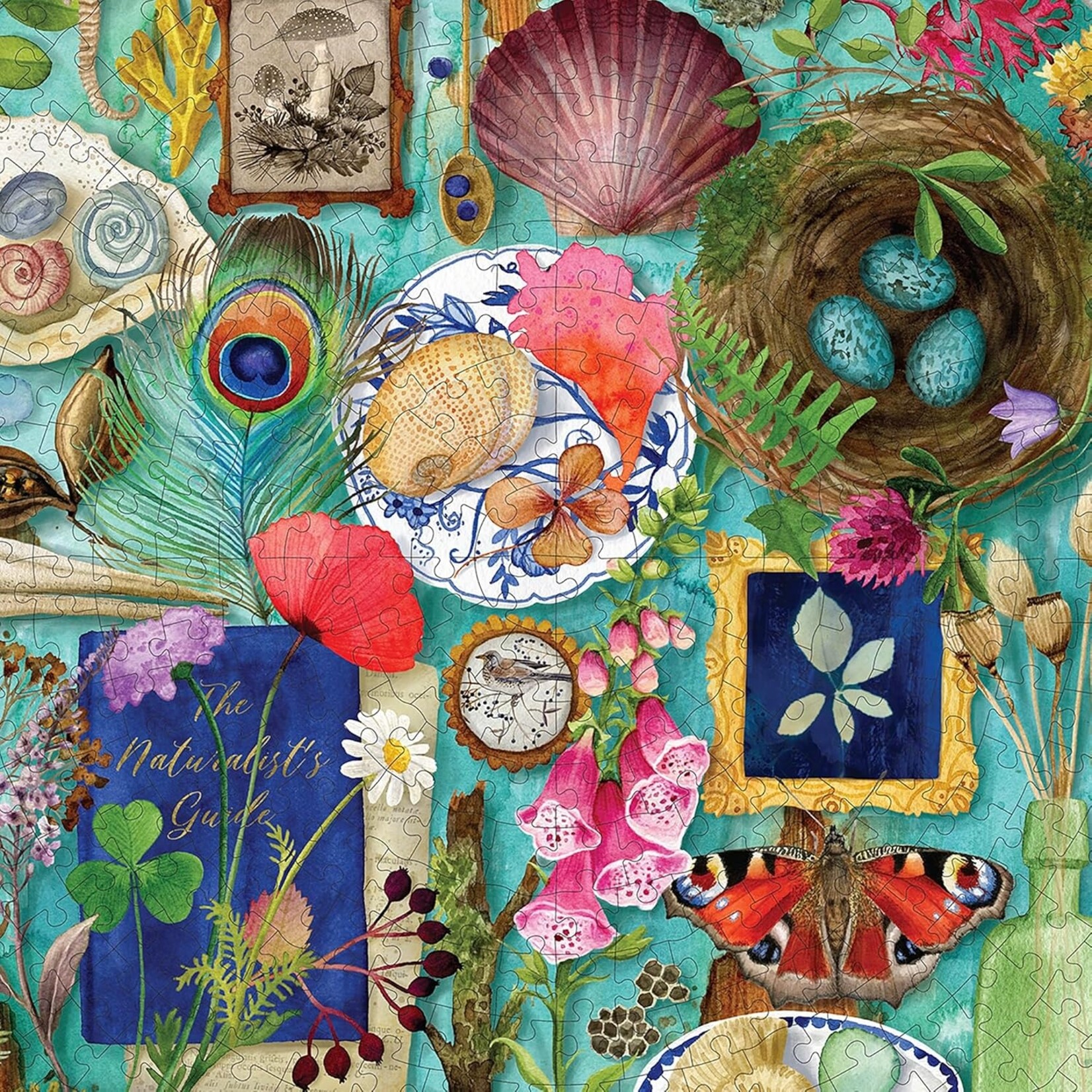 eeboo Collecting Nature 500 Piece Round Puzzle