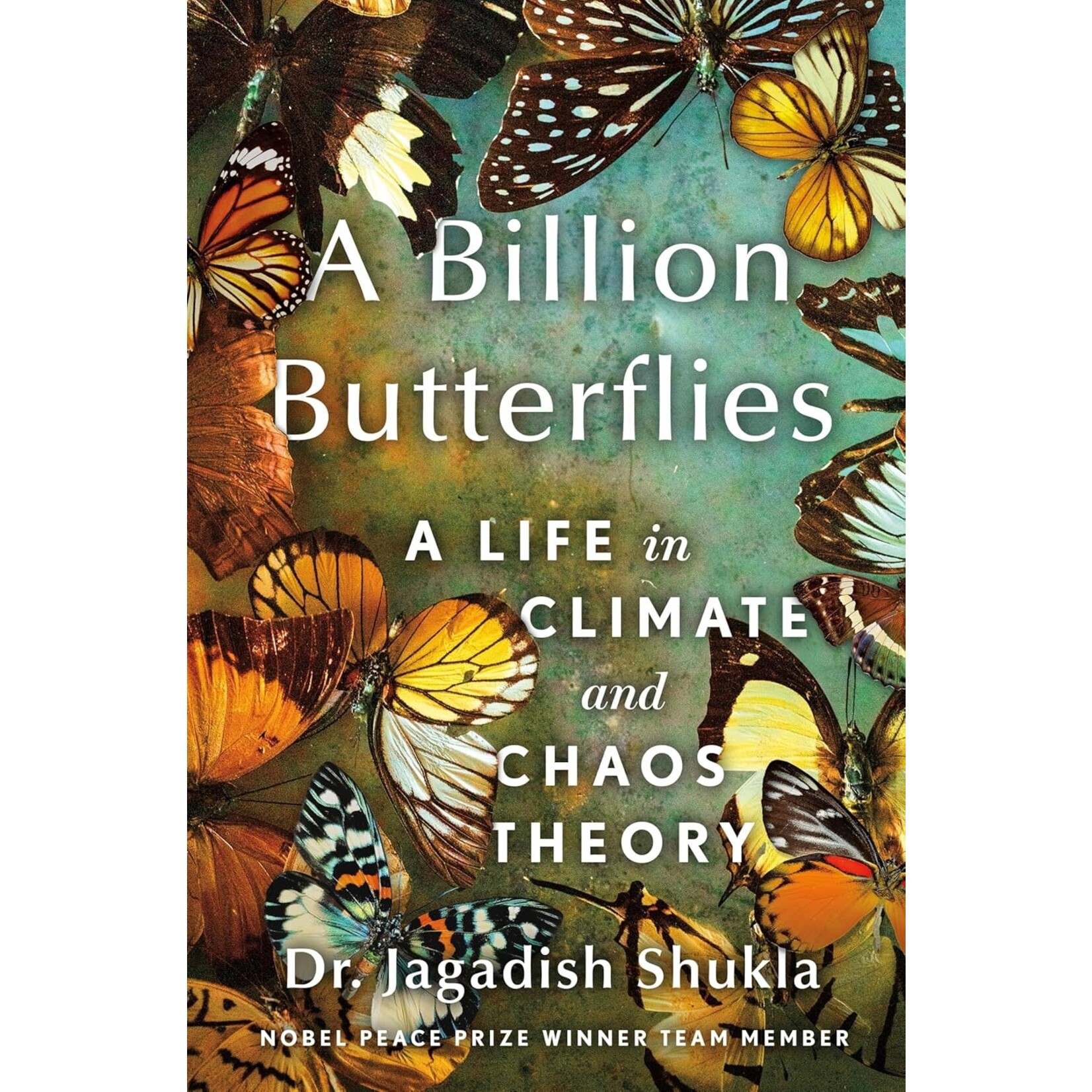 A Billion Butterflies: A Life in Climate and Chaos Theory