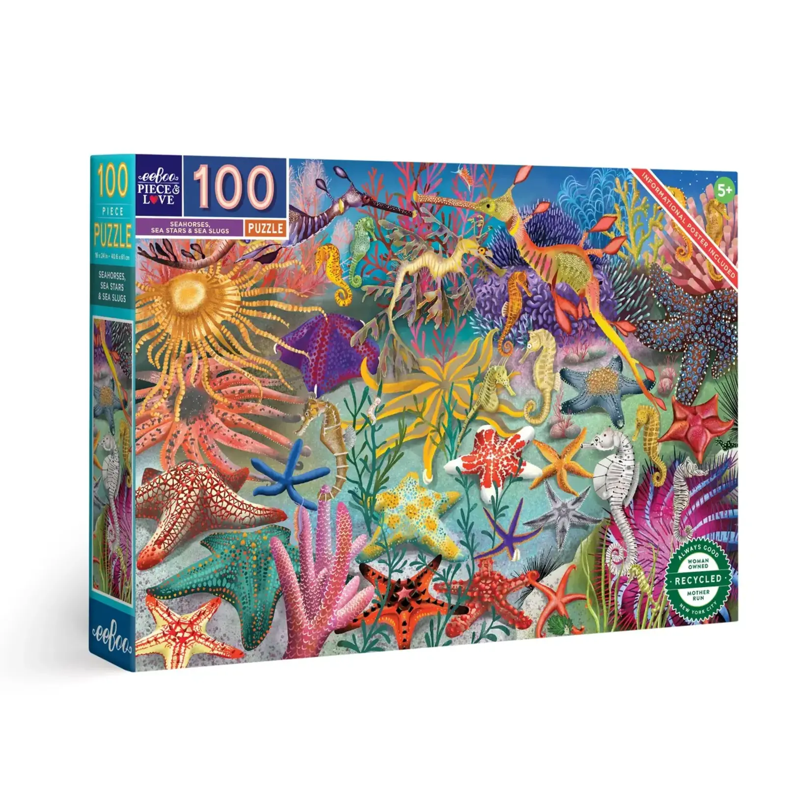eeboo Seahorses, Sea Stars & Sea Slugs 100 Piece Rectangle Puzzle