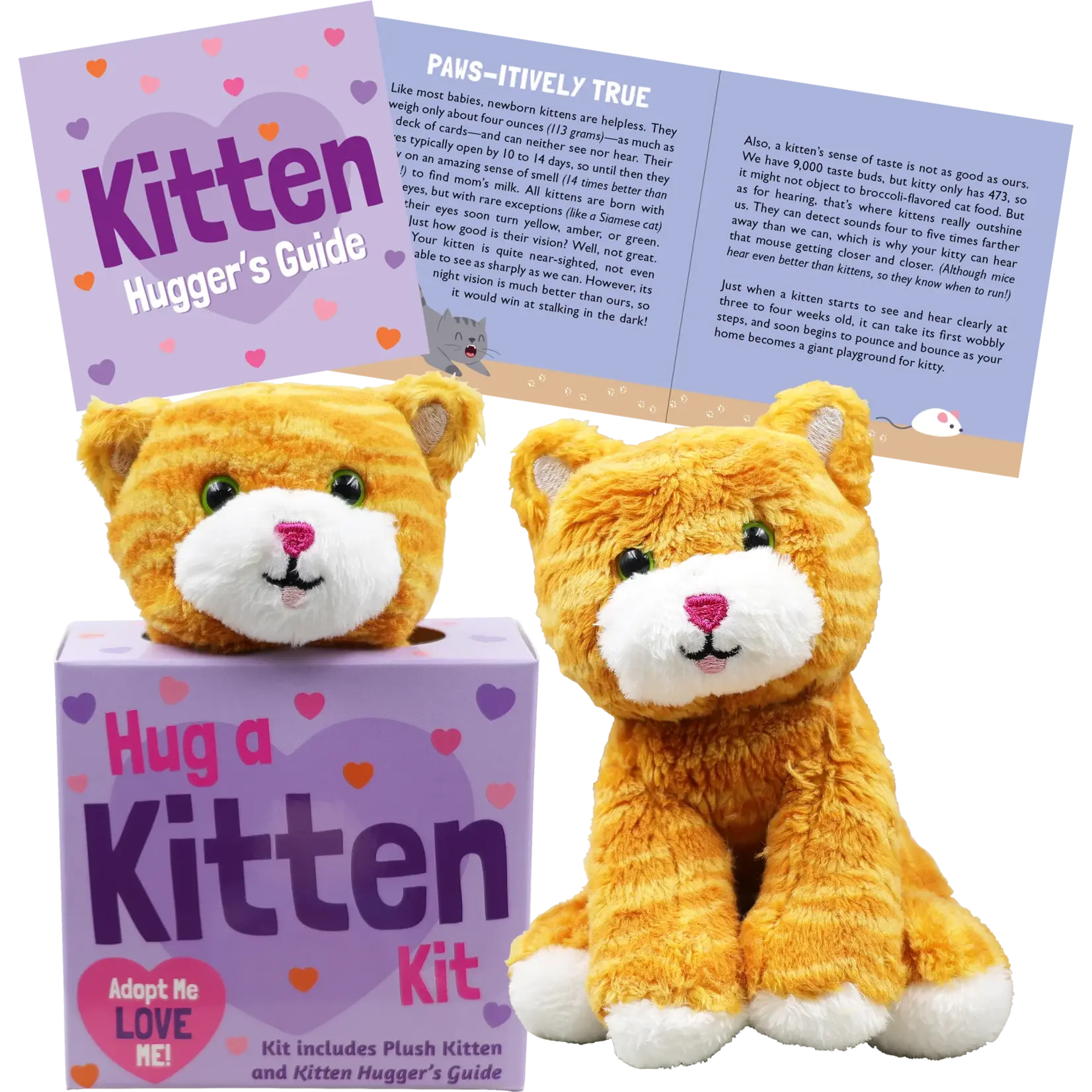 Peter Pauper Press Hug a Kitten Kit